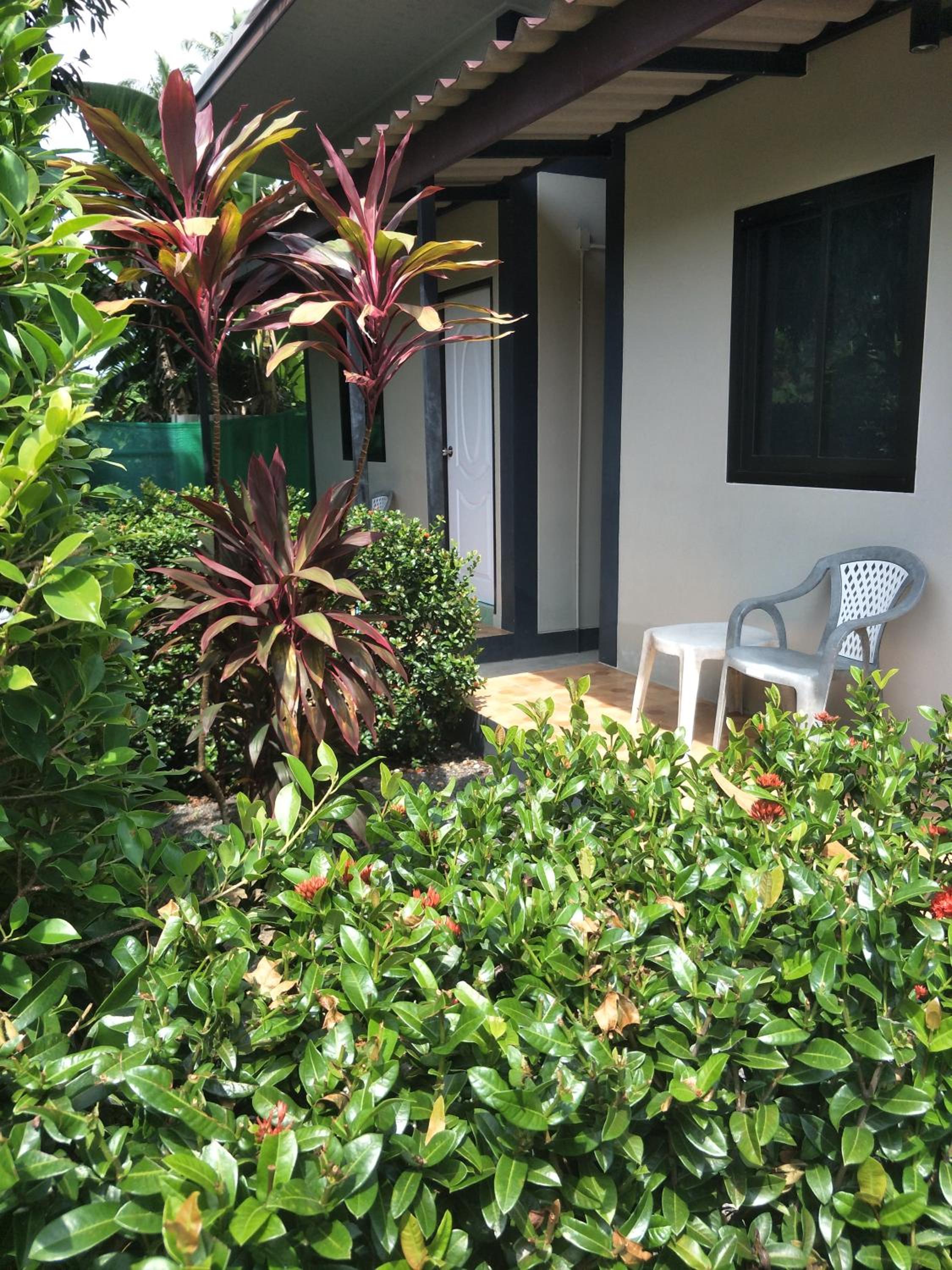 Photo 7
