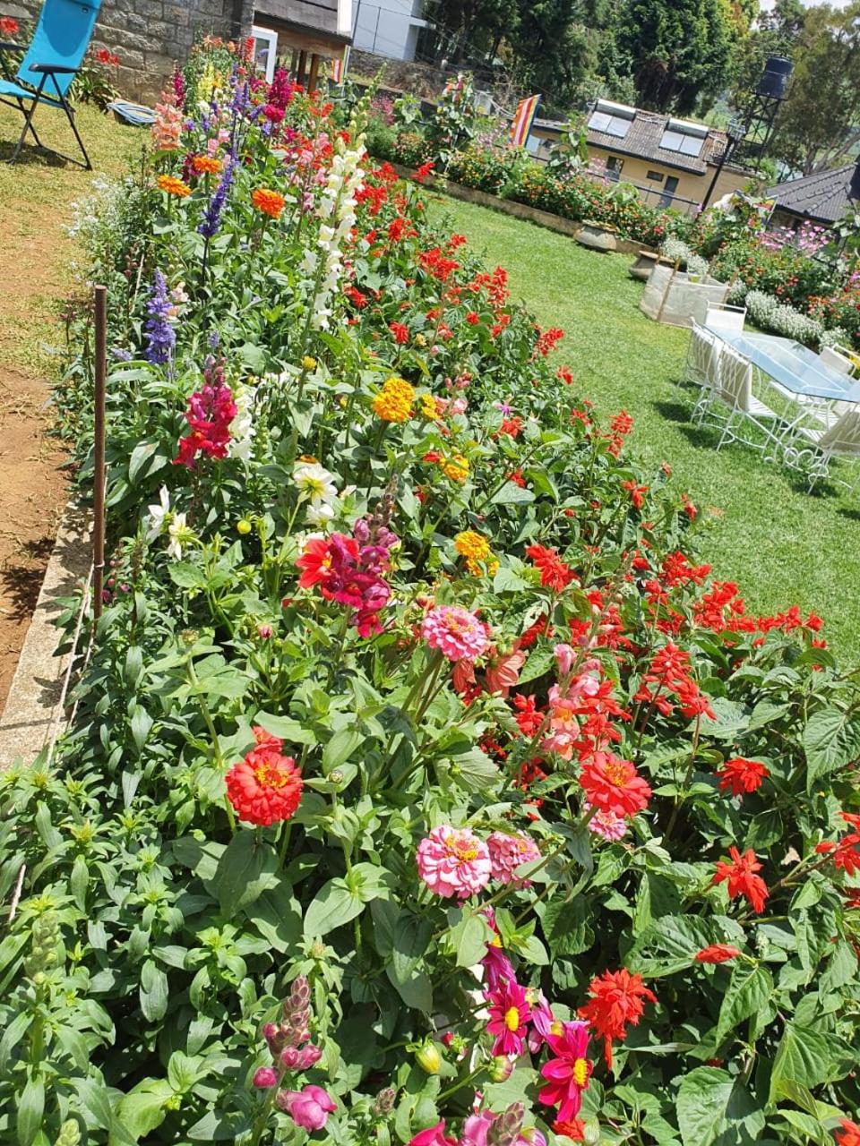 The Planter's Legacy By Fairway