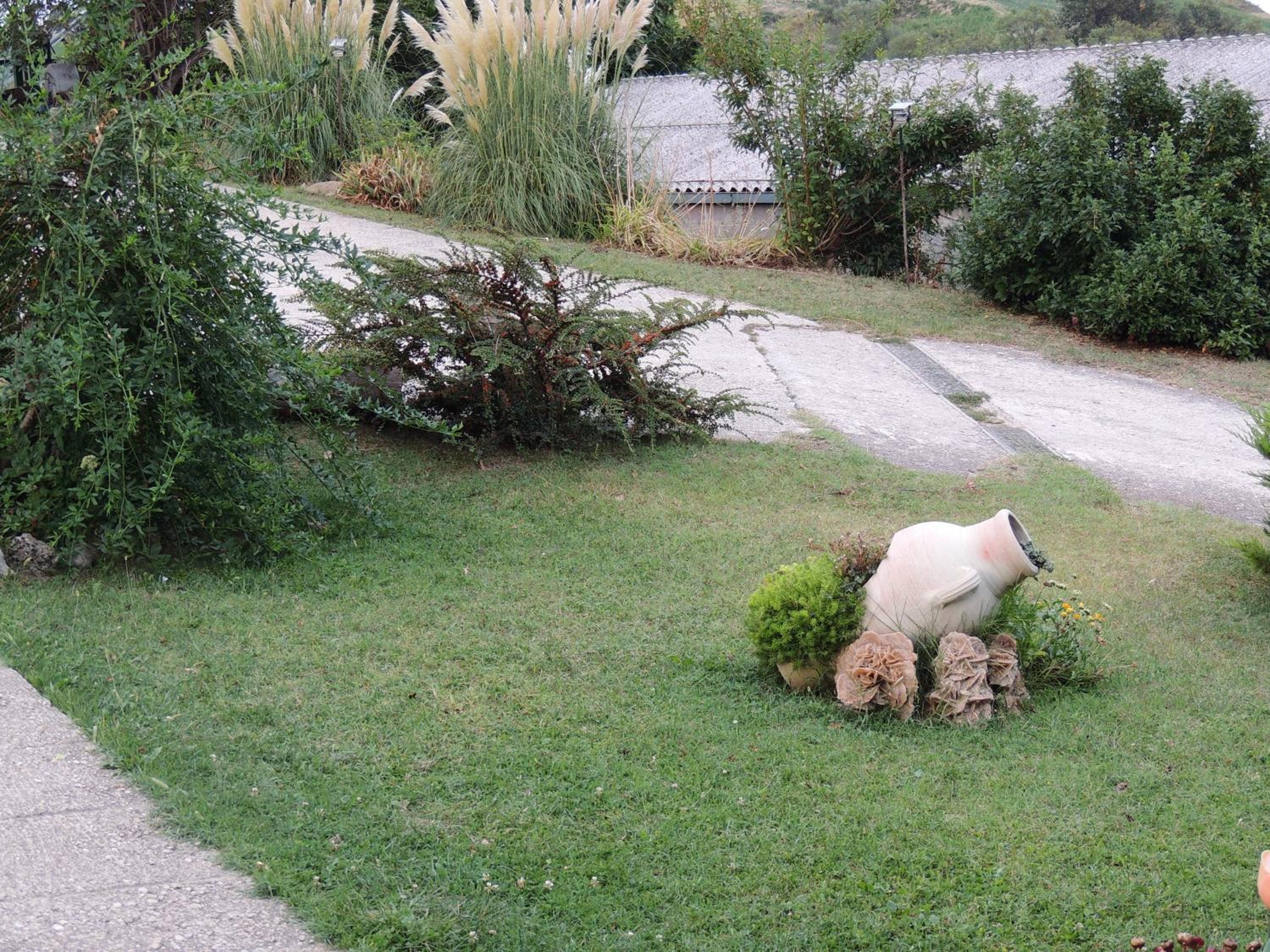 Photo 48