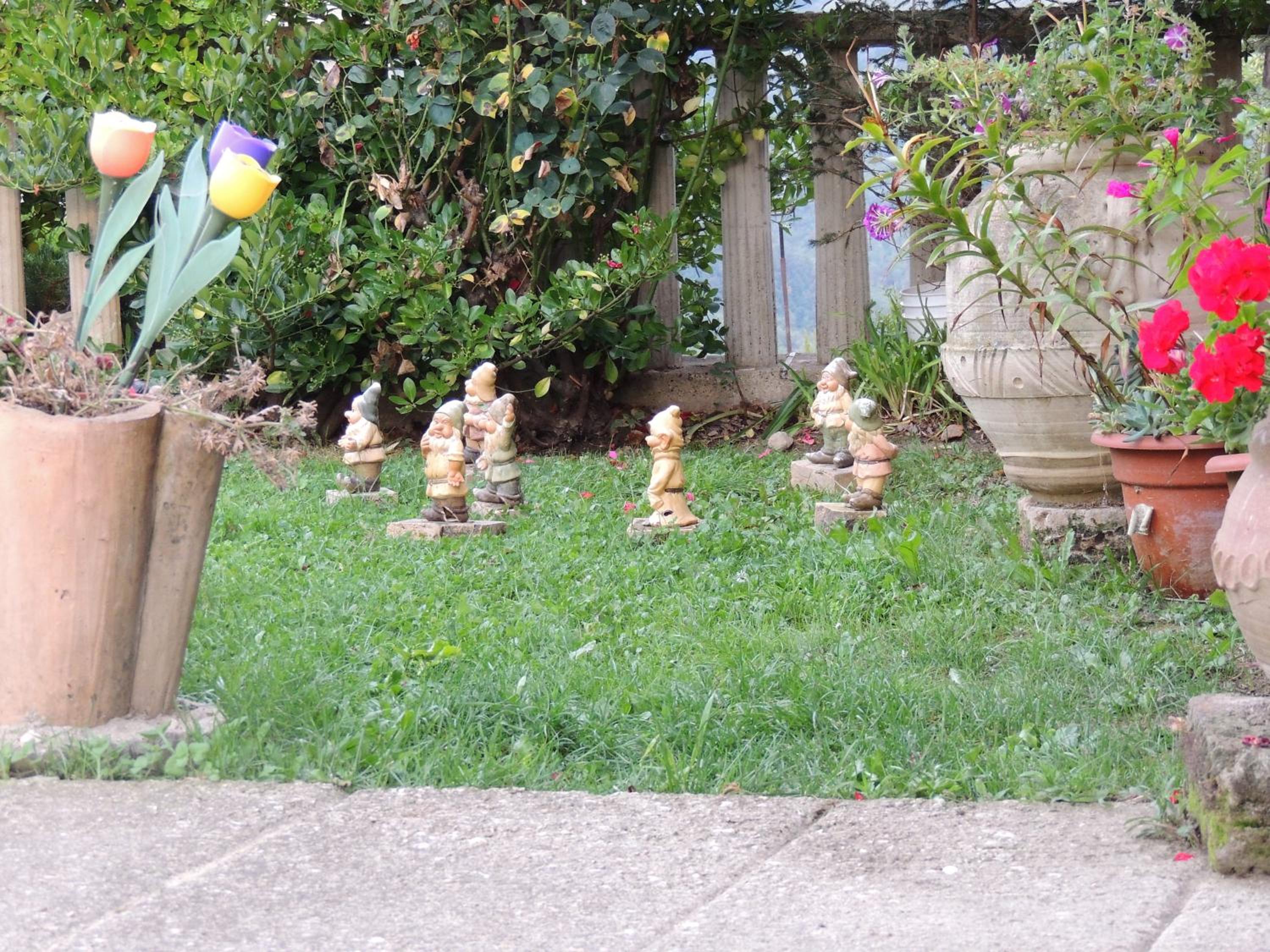 Photo 52