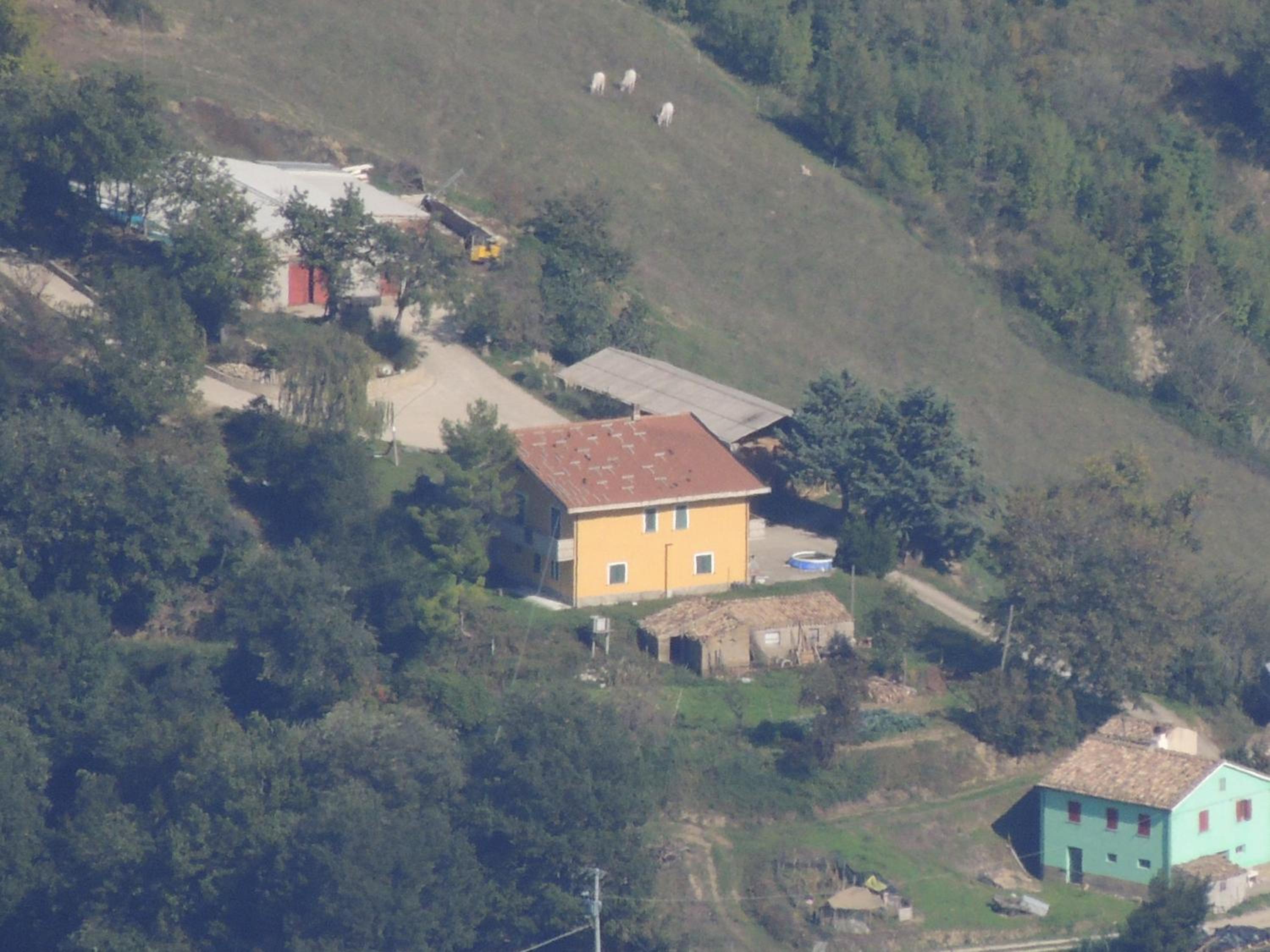 Photo 44