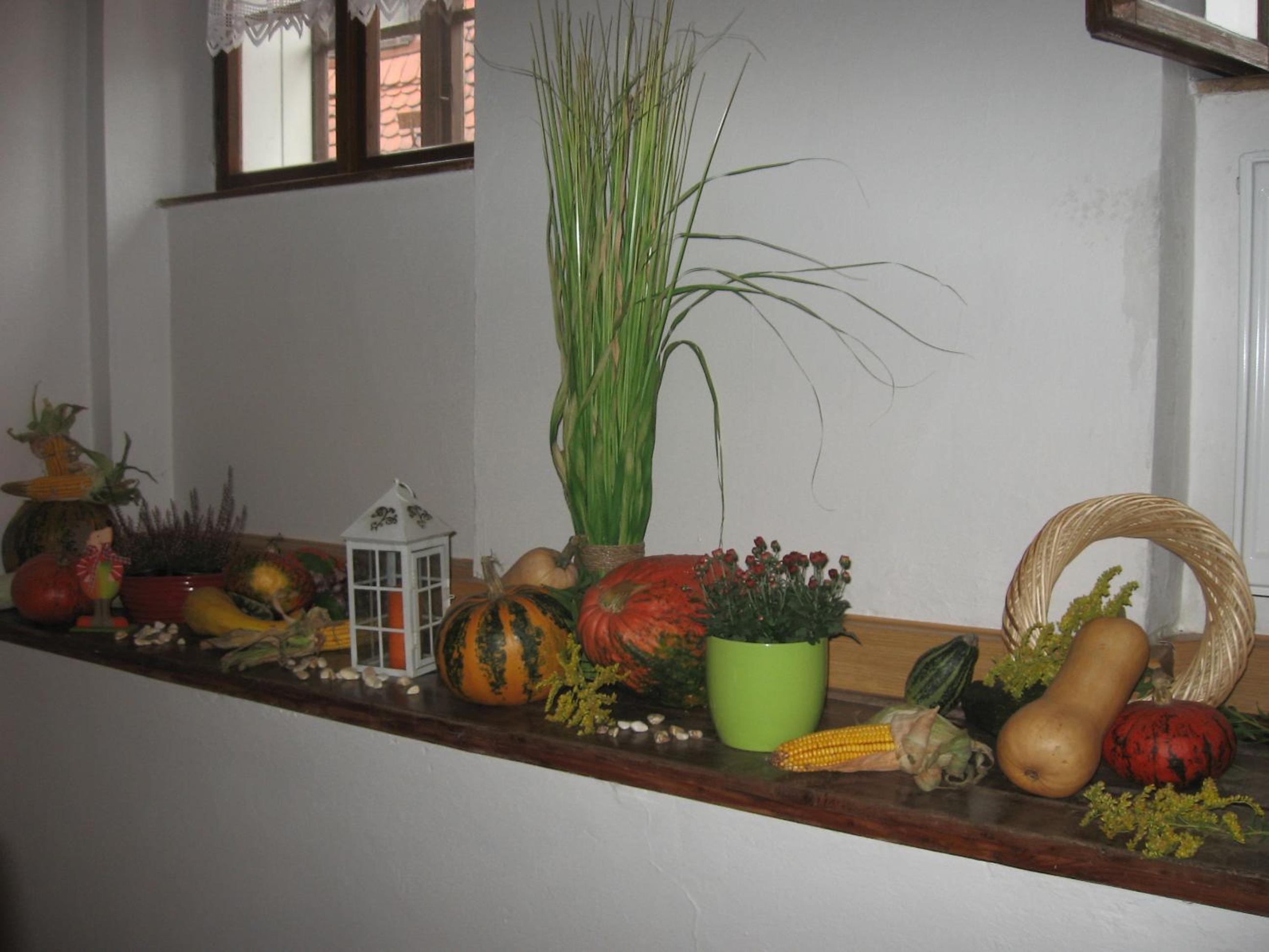 Pension Archa