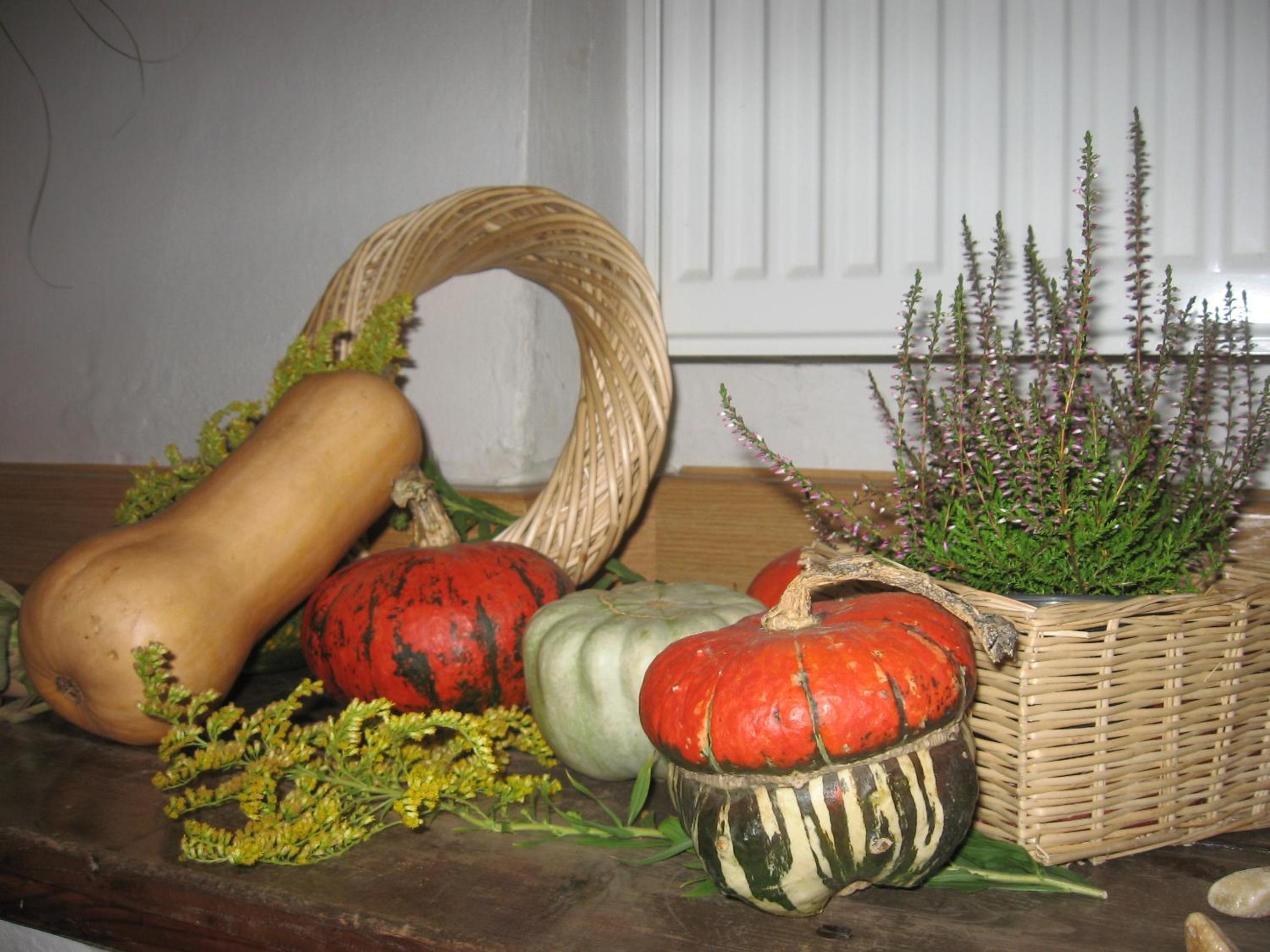Pension Archa