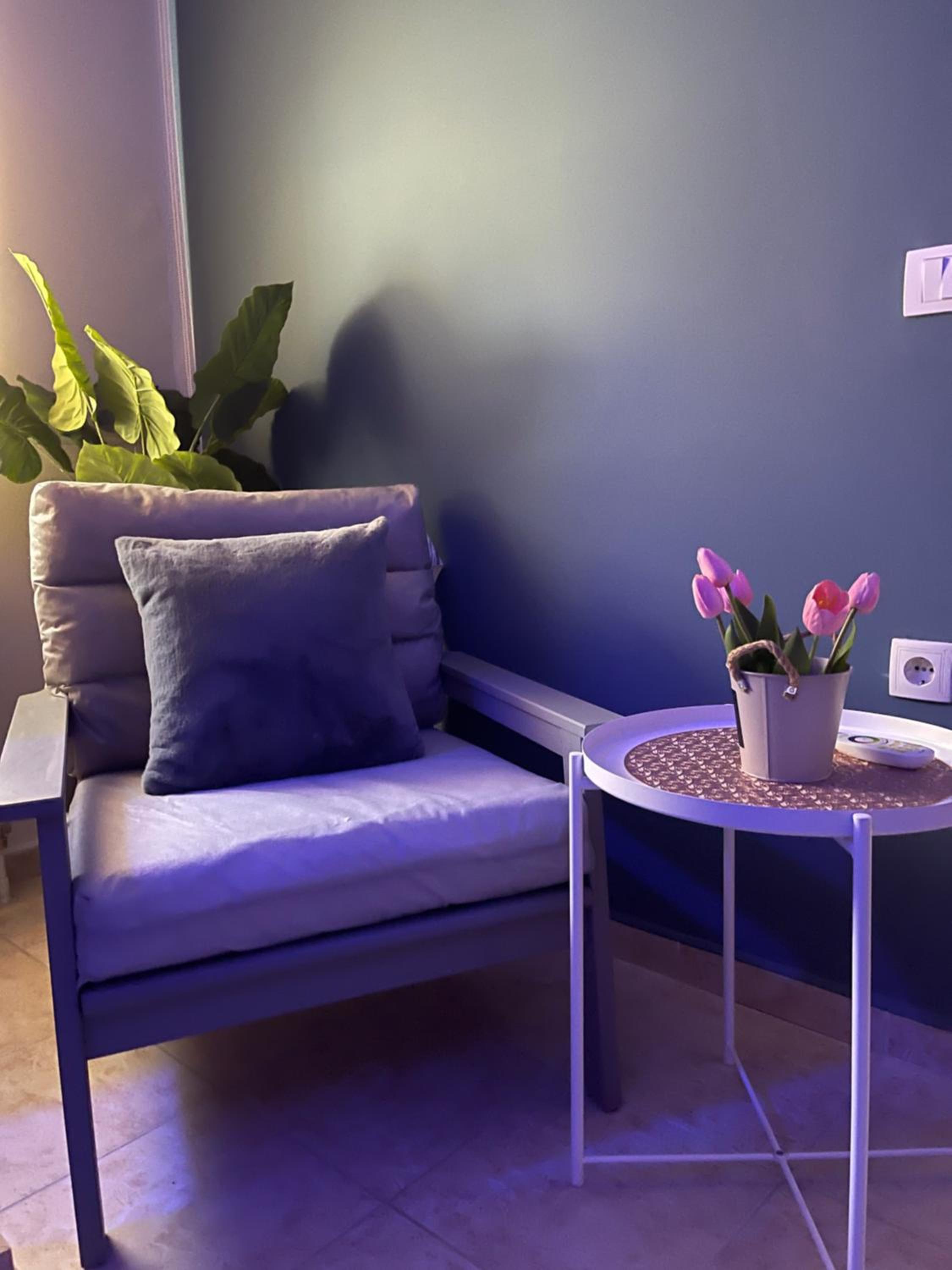 Apartman Spa Bačka view 4