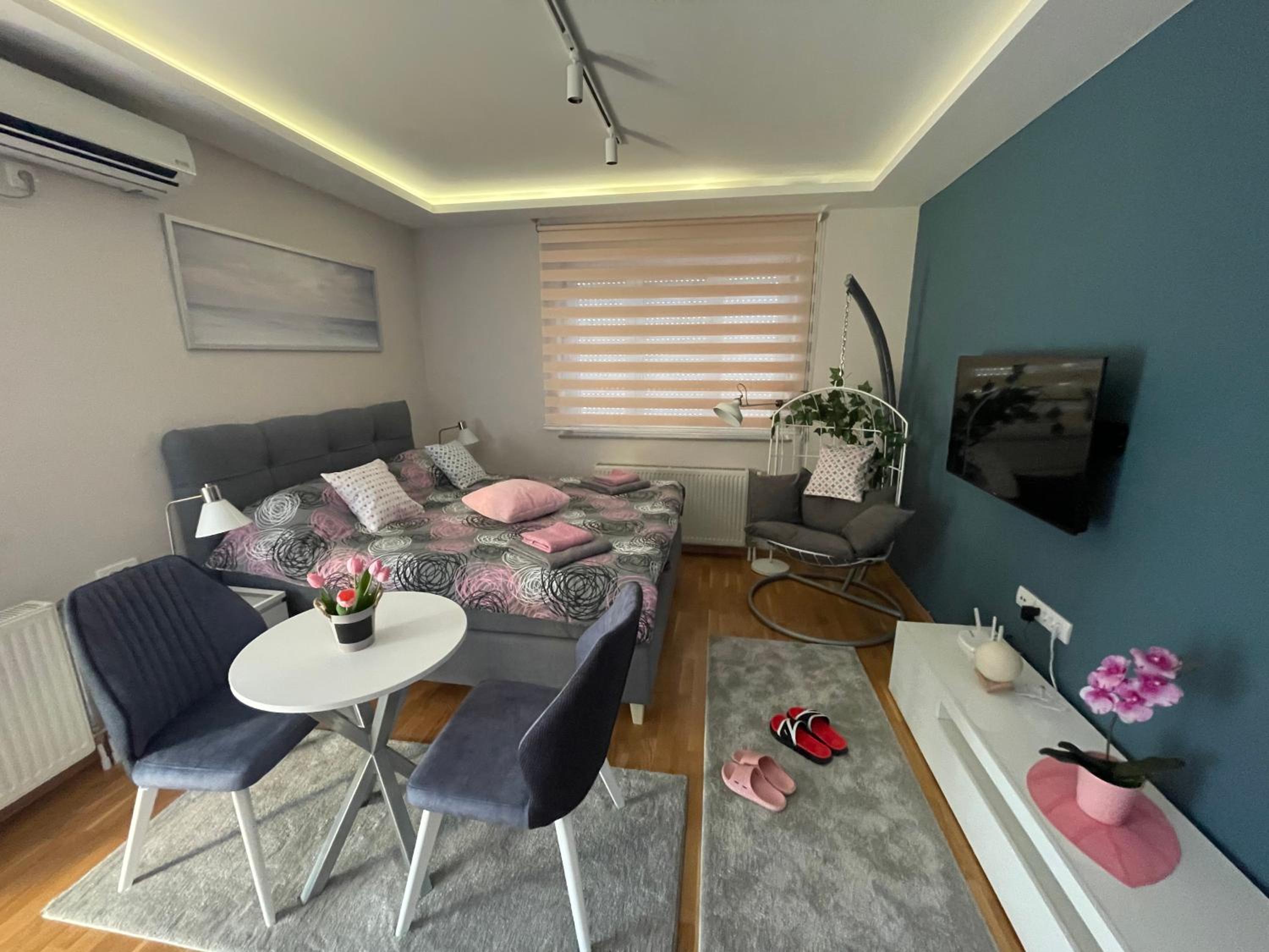 Apartman Spa Bačka view 5