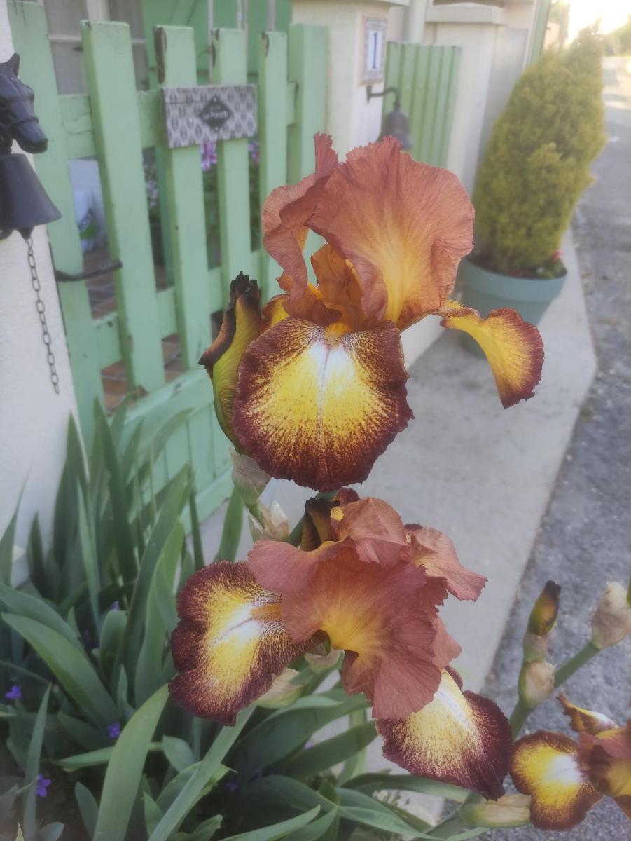 Photo 35