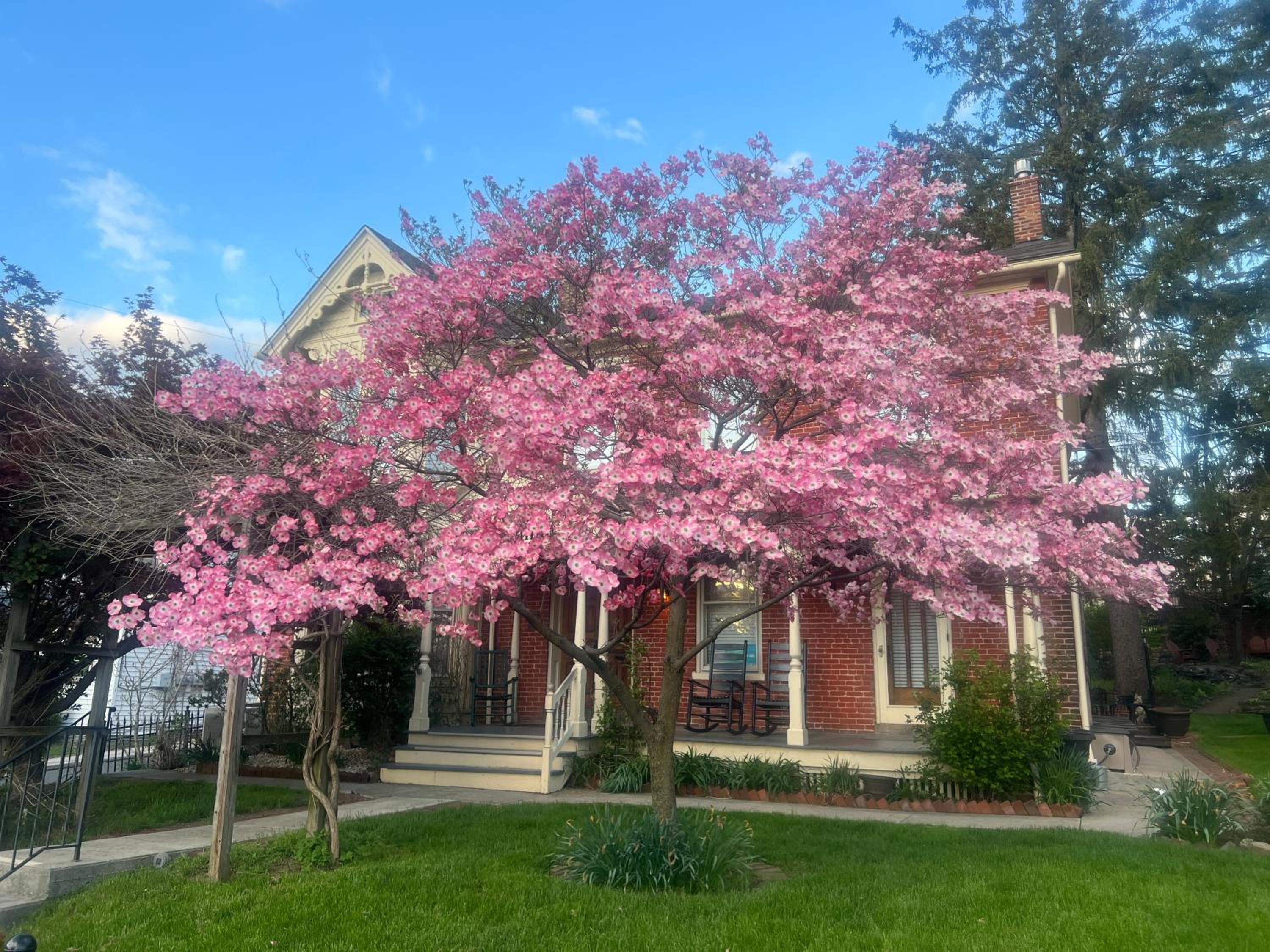 Brickhouse Inn B&B view 2