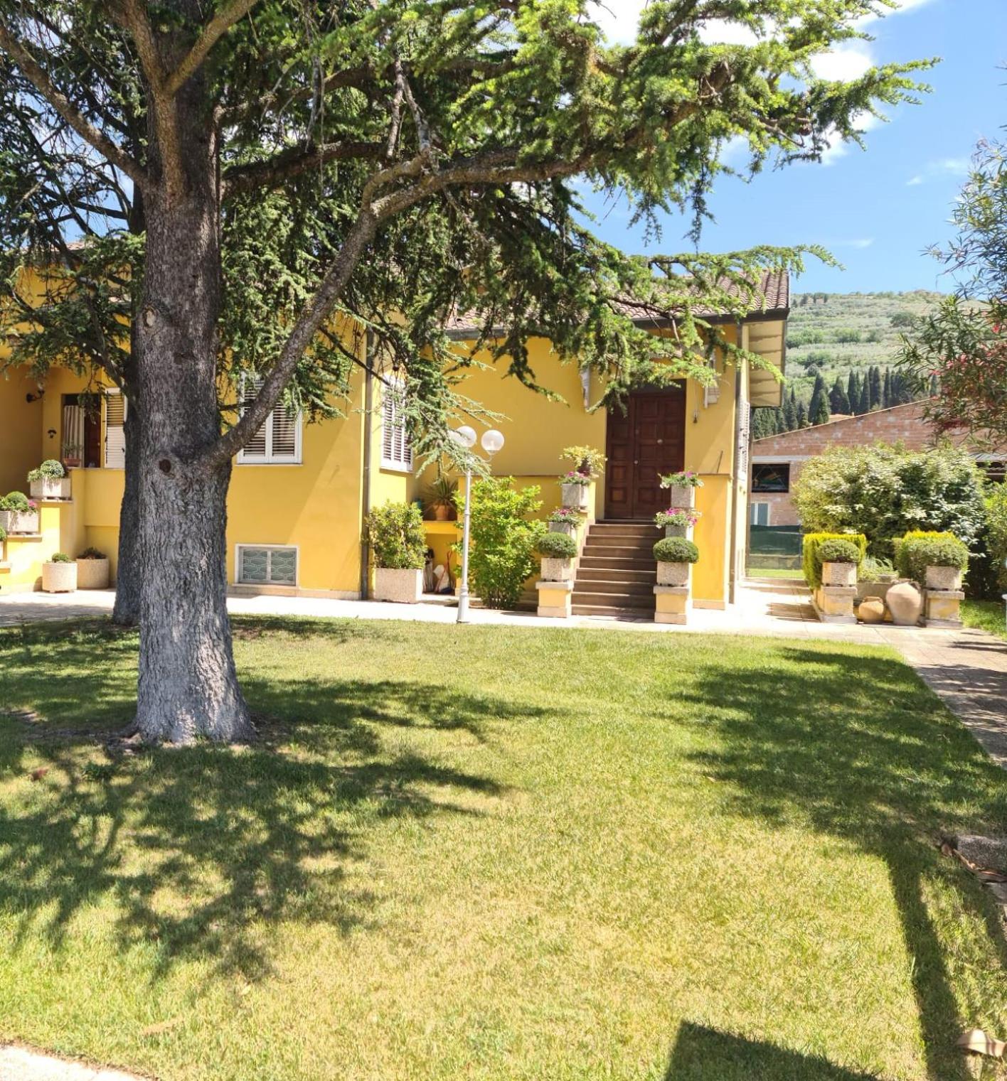 La Finestra su Spello view 3