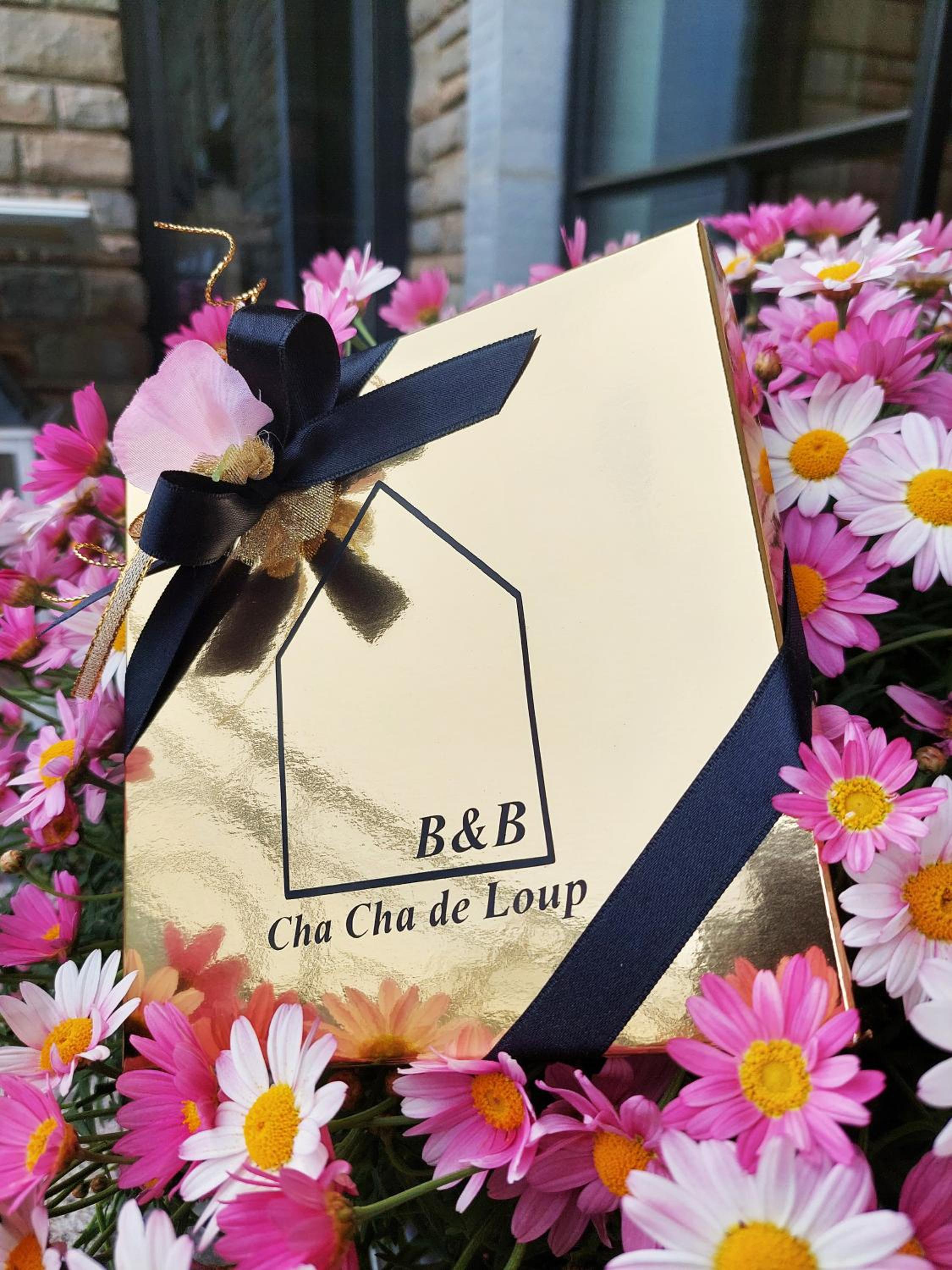 Cha Cha de Loup Luxe B&B - Vakantiewoning