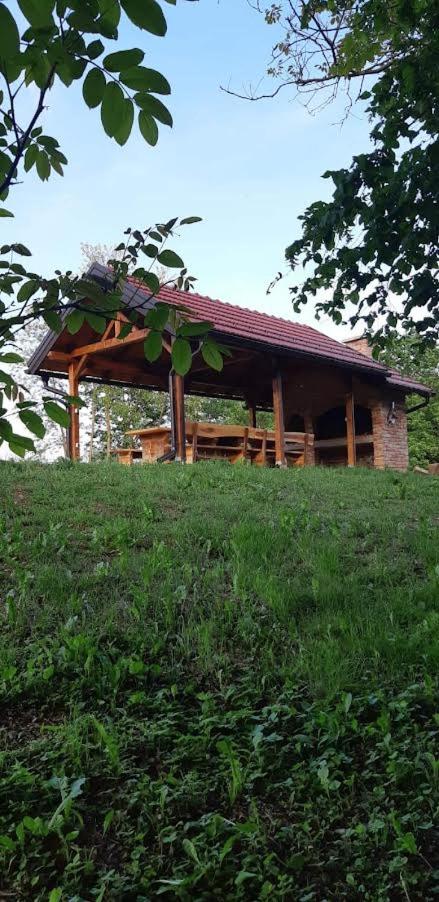 Photo 27