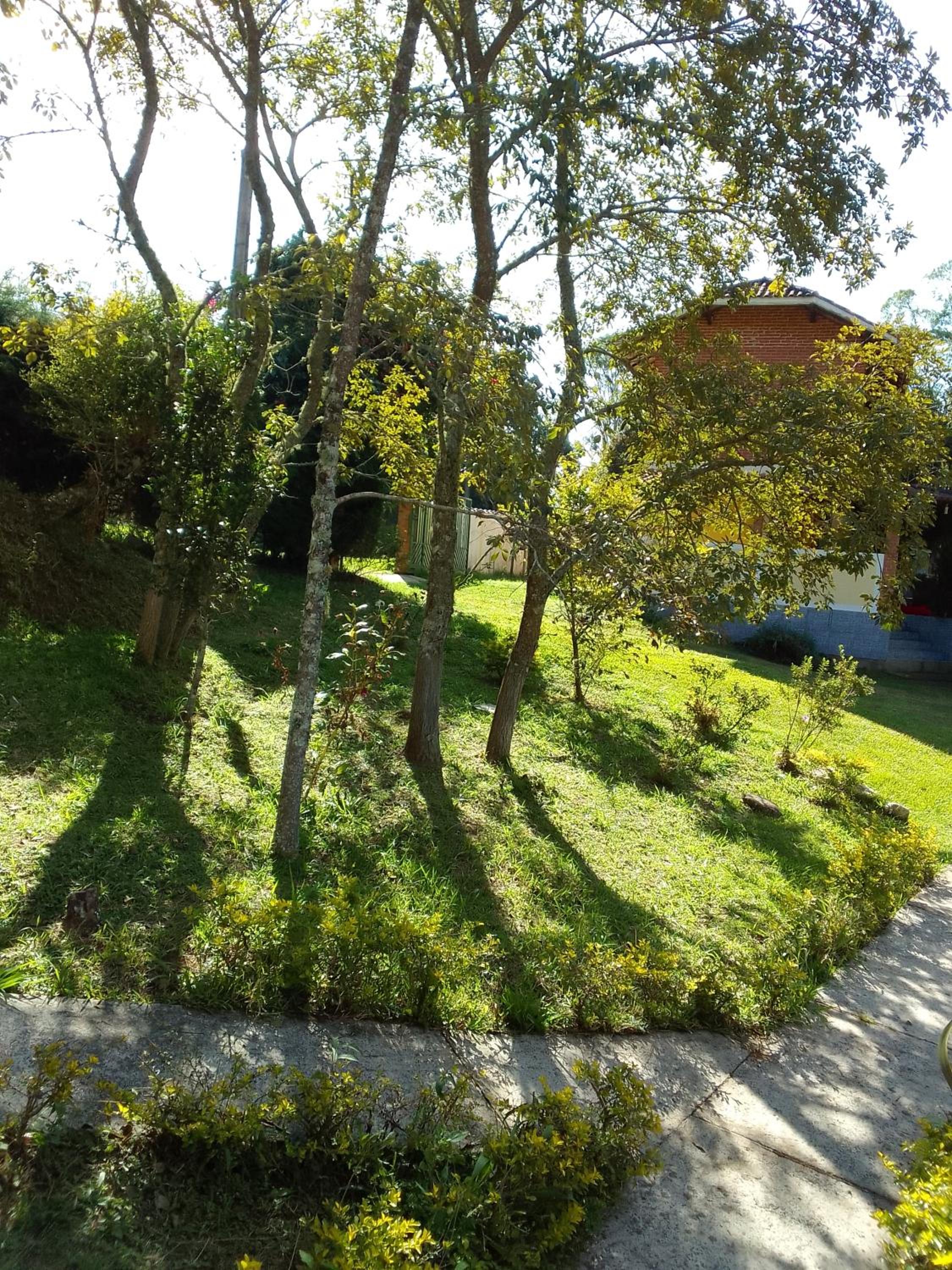 Photo 31