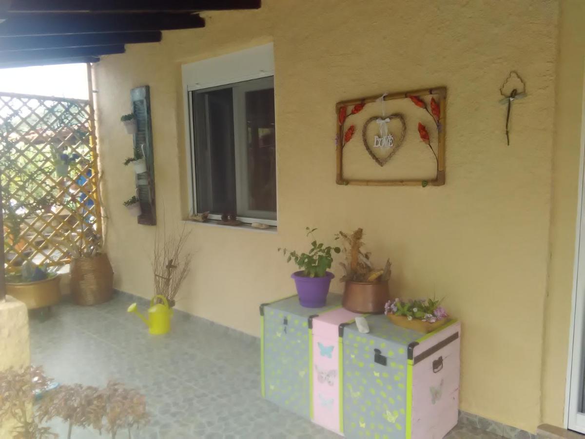 Housebutterfly photo 5