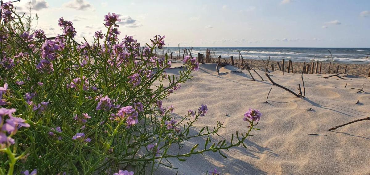 Domki Zuzanna - Property Image 14