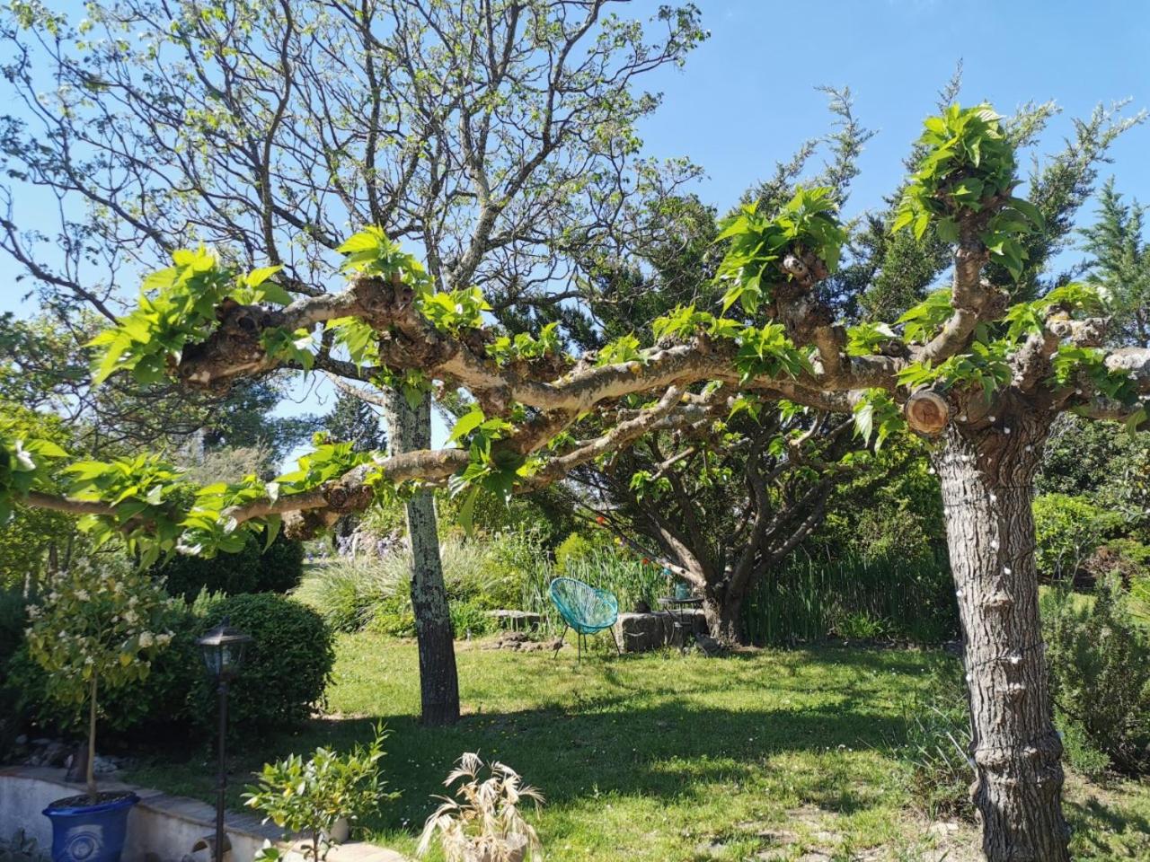 Photo 17