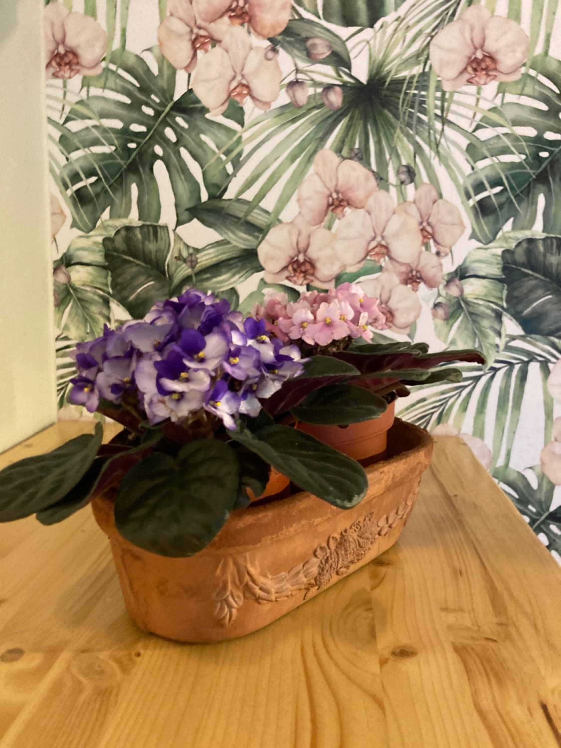 Locanda del Borgo photo 5