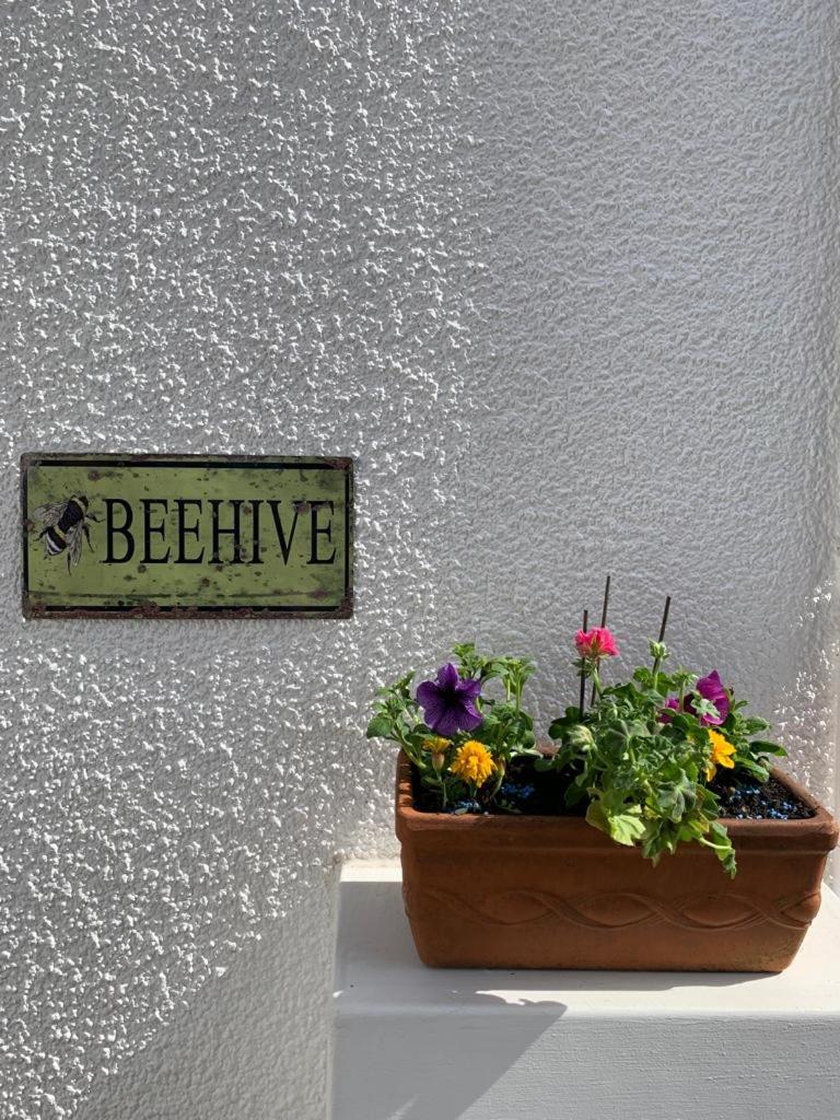 The Beehive - Self Contained Studio by The Sea view 4
