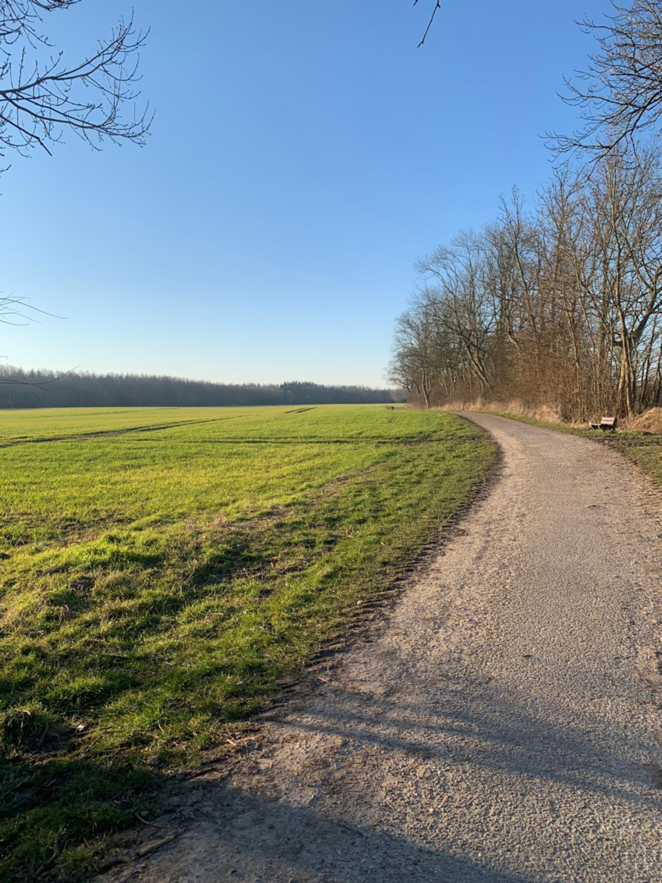 Noorhus - Kurzurlaub an der Ostsee view 4