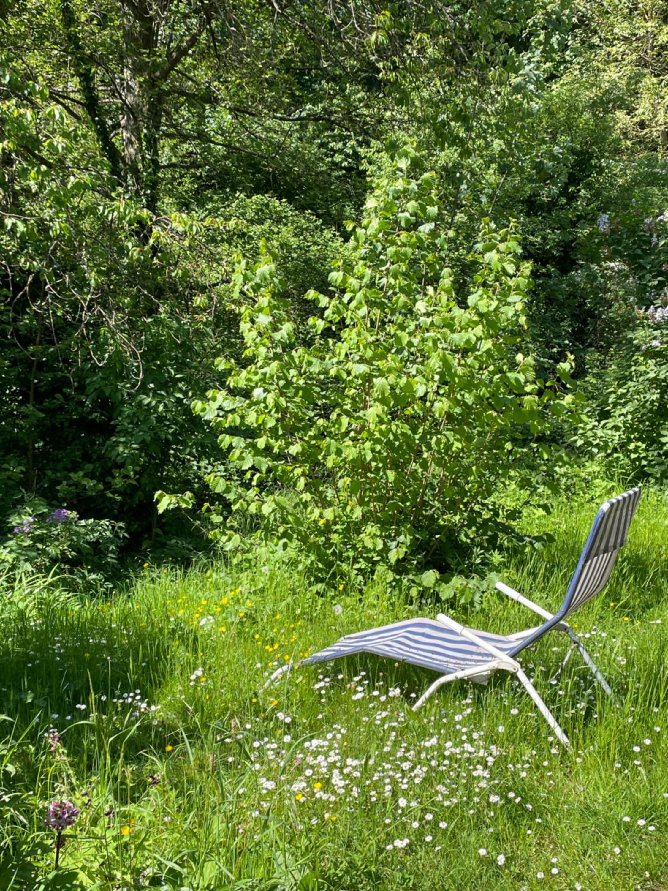 Ferienwohnung Südliche Weinstraße zwischen Wald und Reben view 4