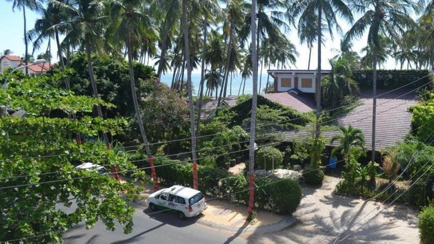 Photo 6