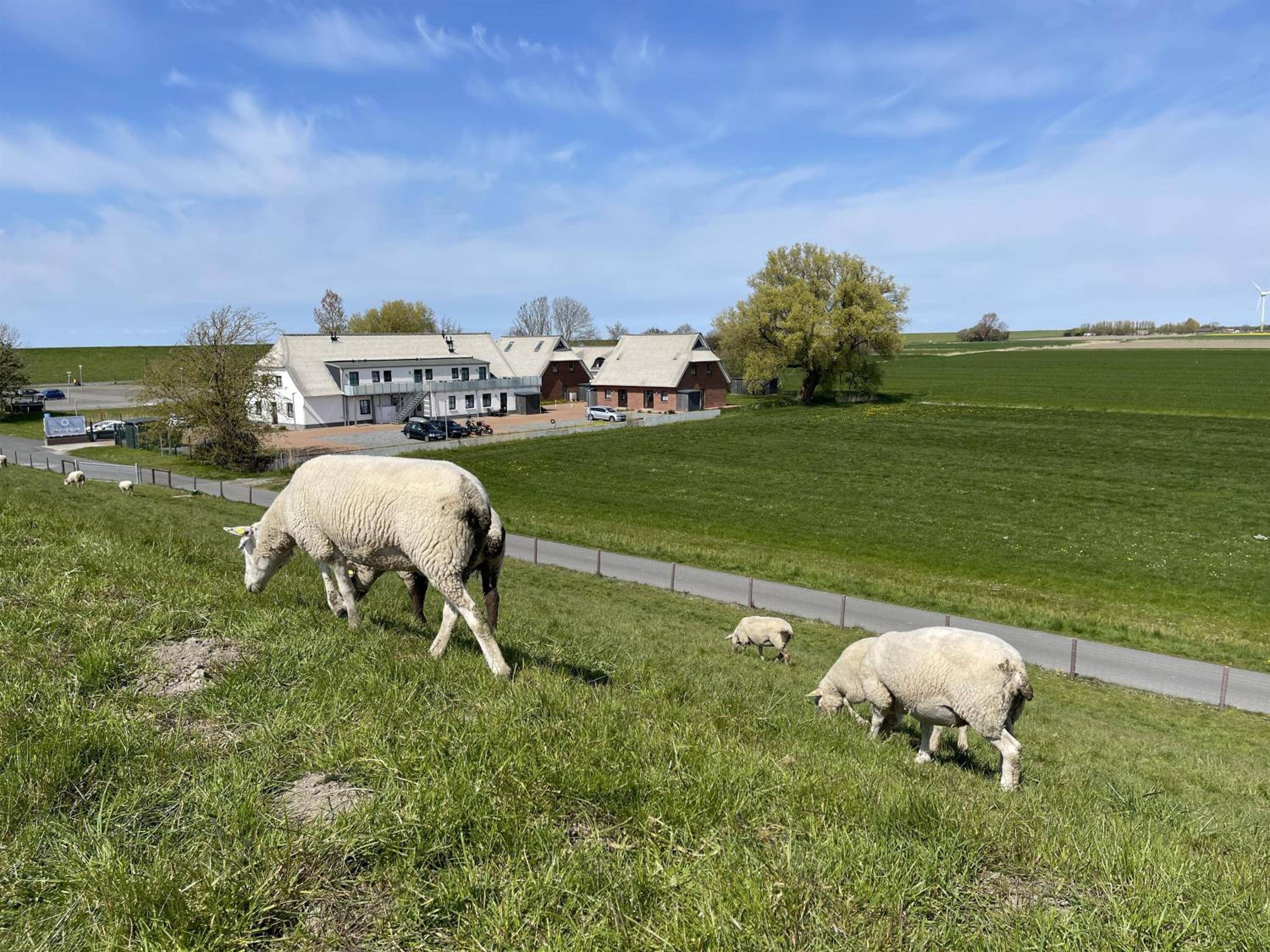 Ferienhaus 15
