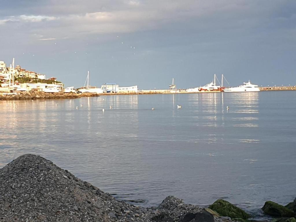 MitProt Panorama Bay 2 ap 31