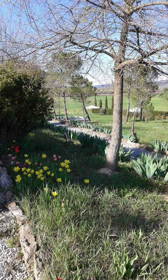 Casa Country House Girasole vakantie huis-WAKACJE HUIS