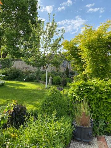 La Maison Des Buis