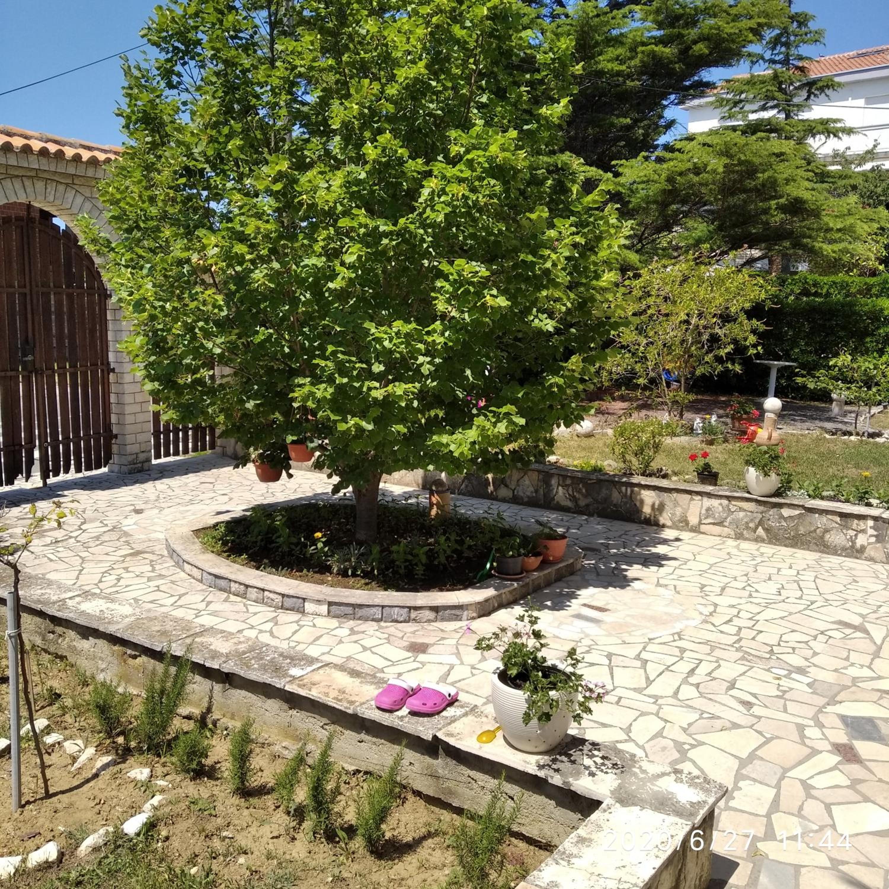 Photo 22