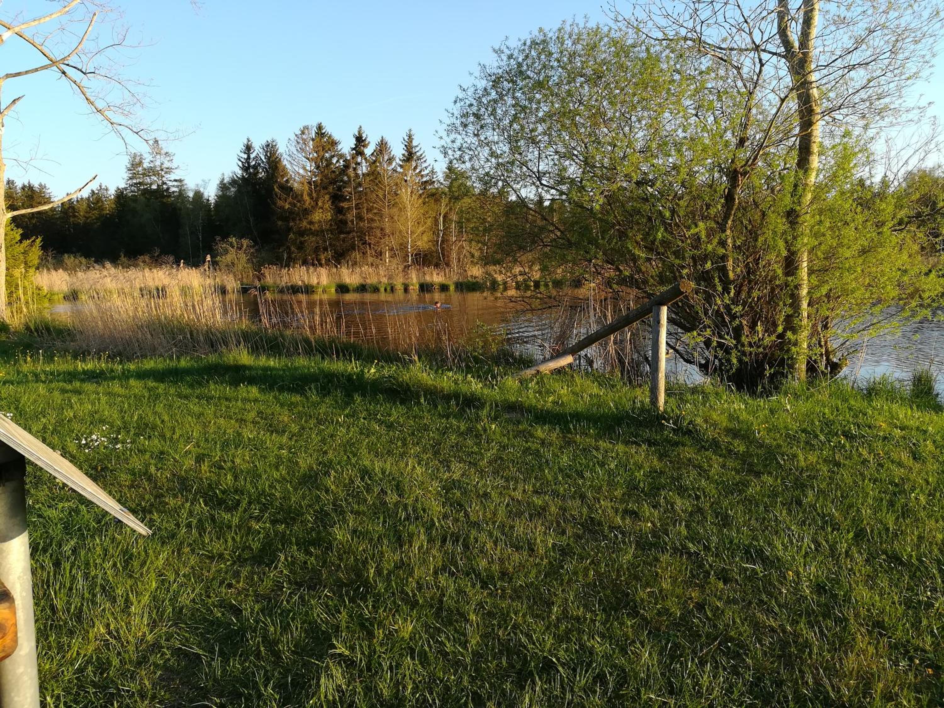 Photo 30