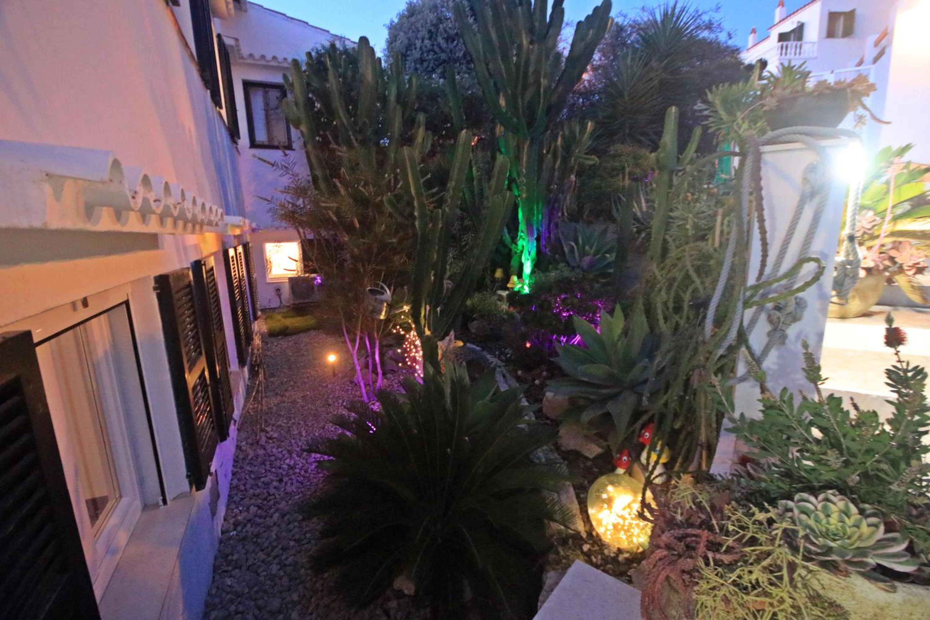Photo 42