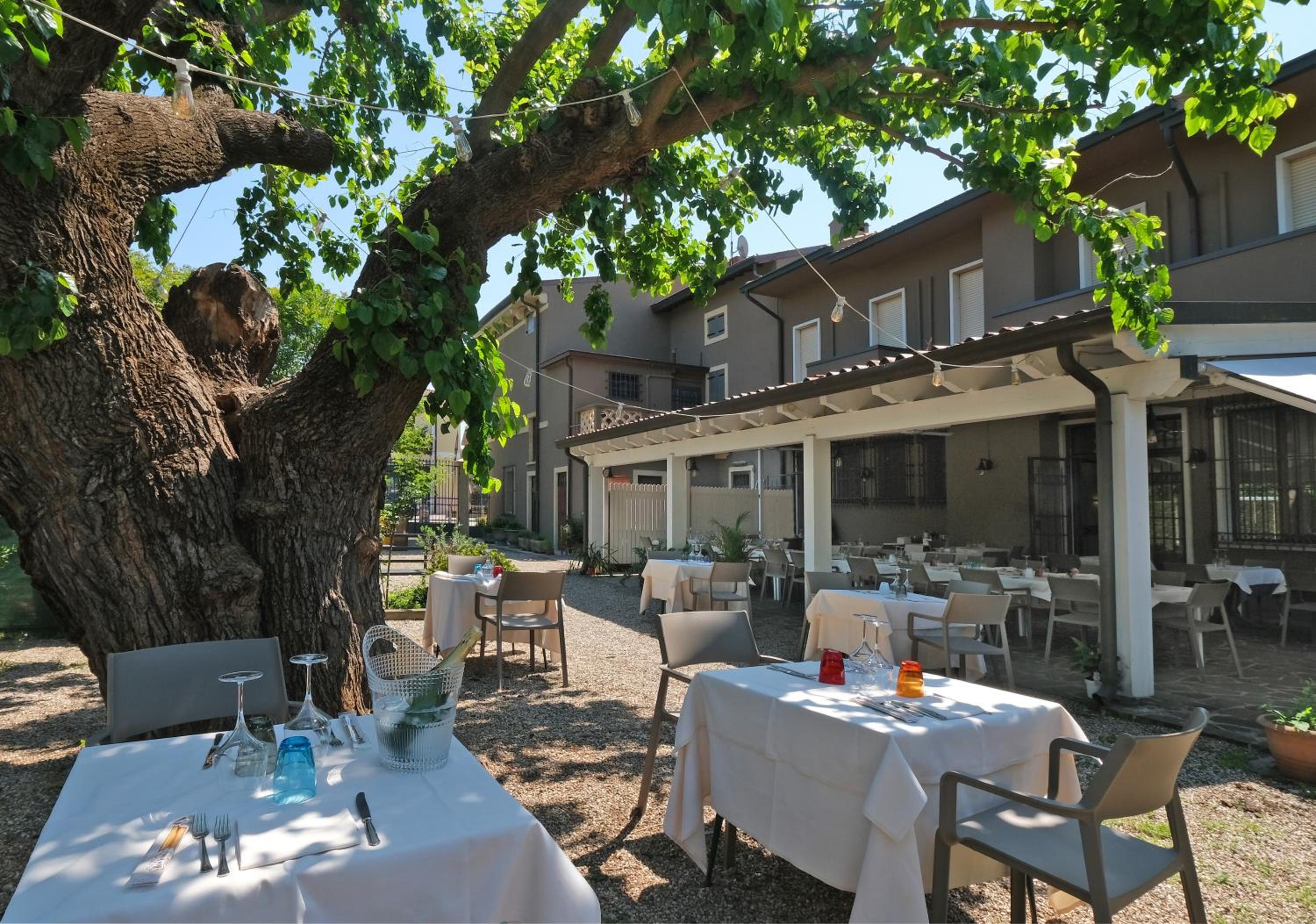 Villa Mimosa