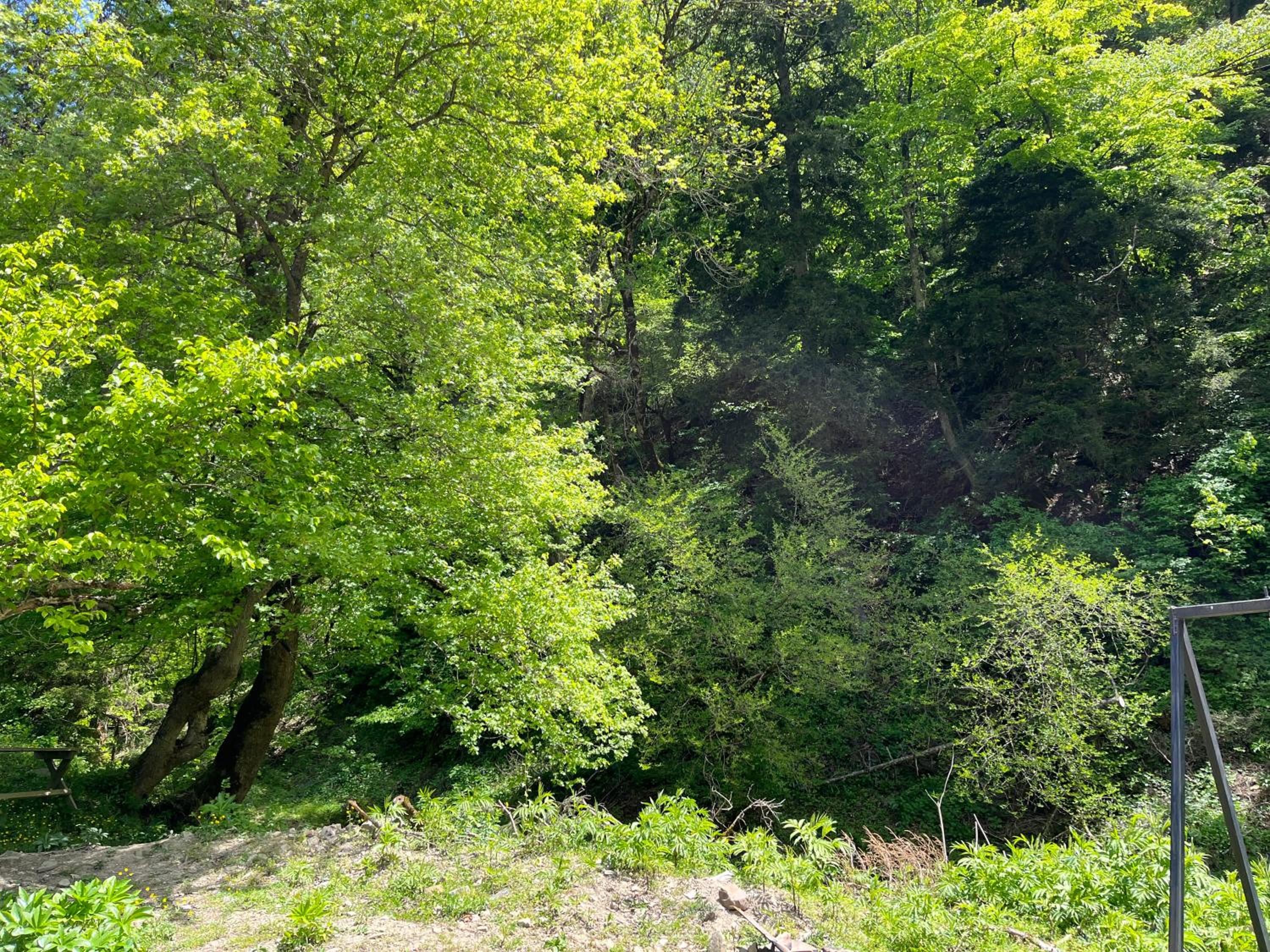 Photo 41