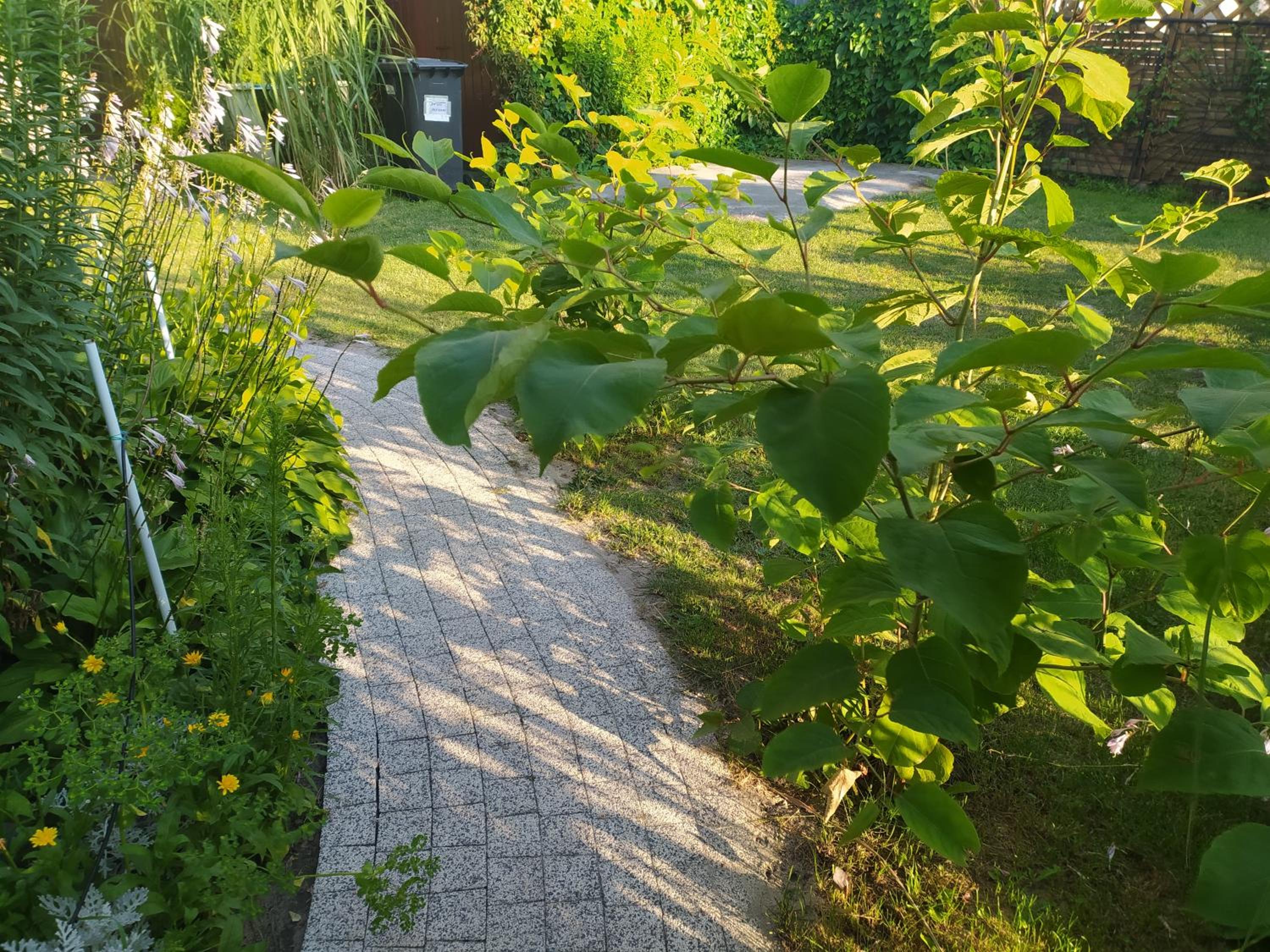 Photo 8