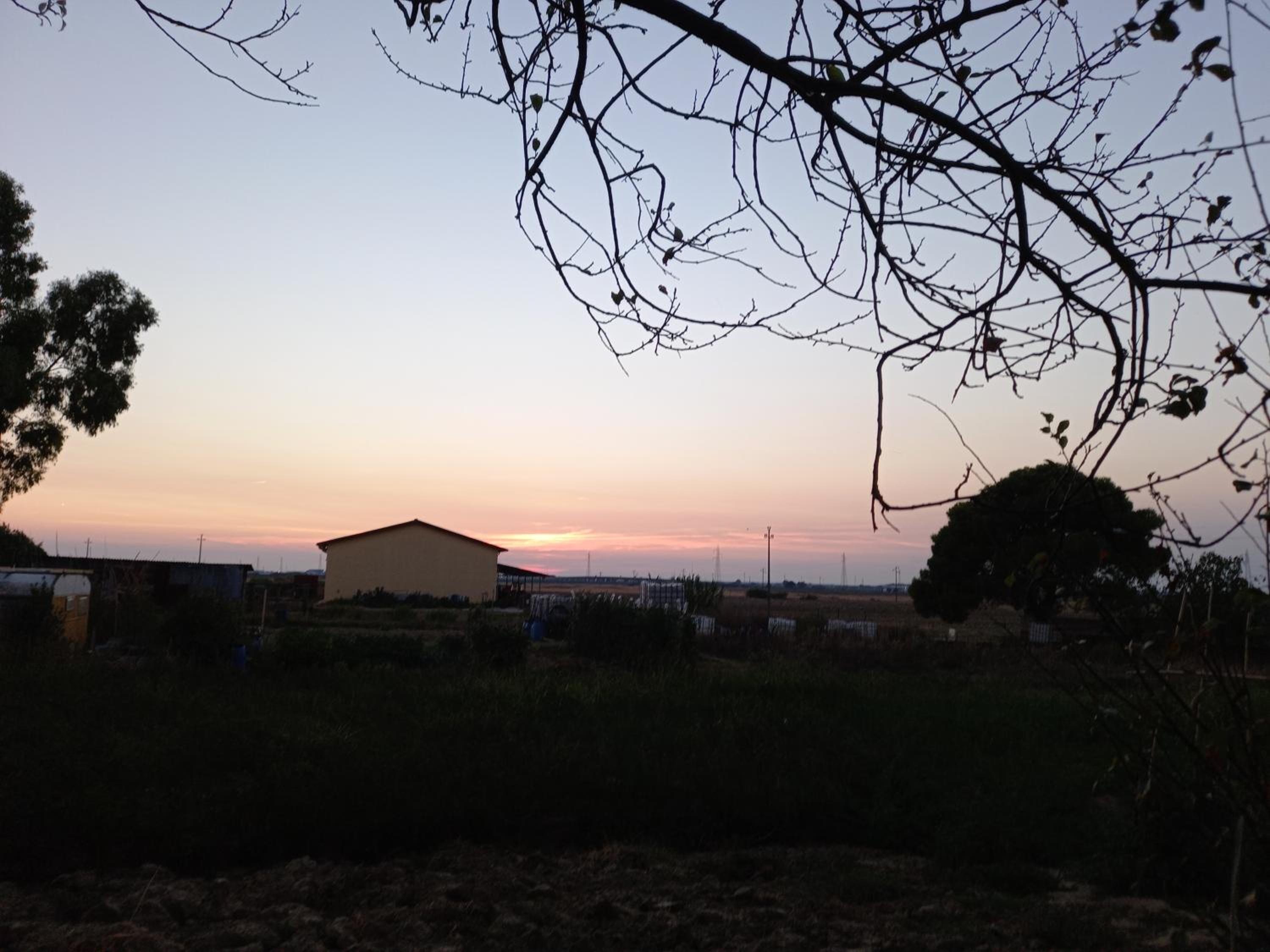 Photo 38
