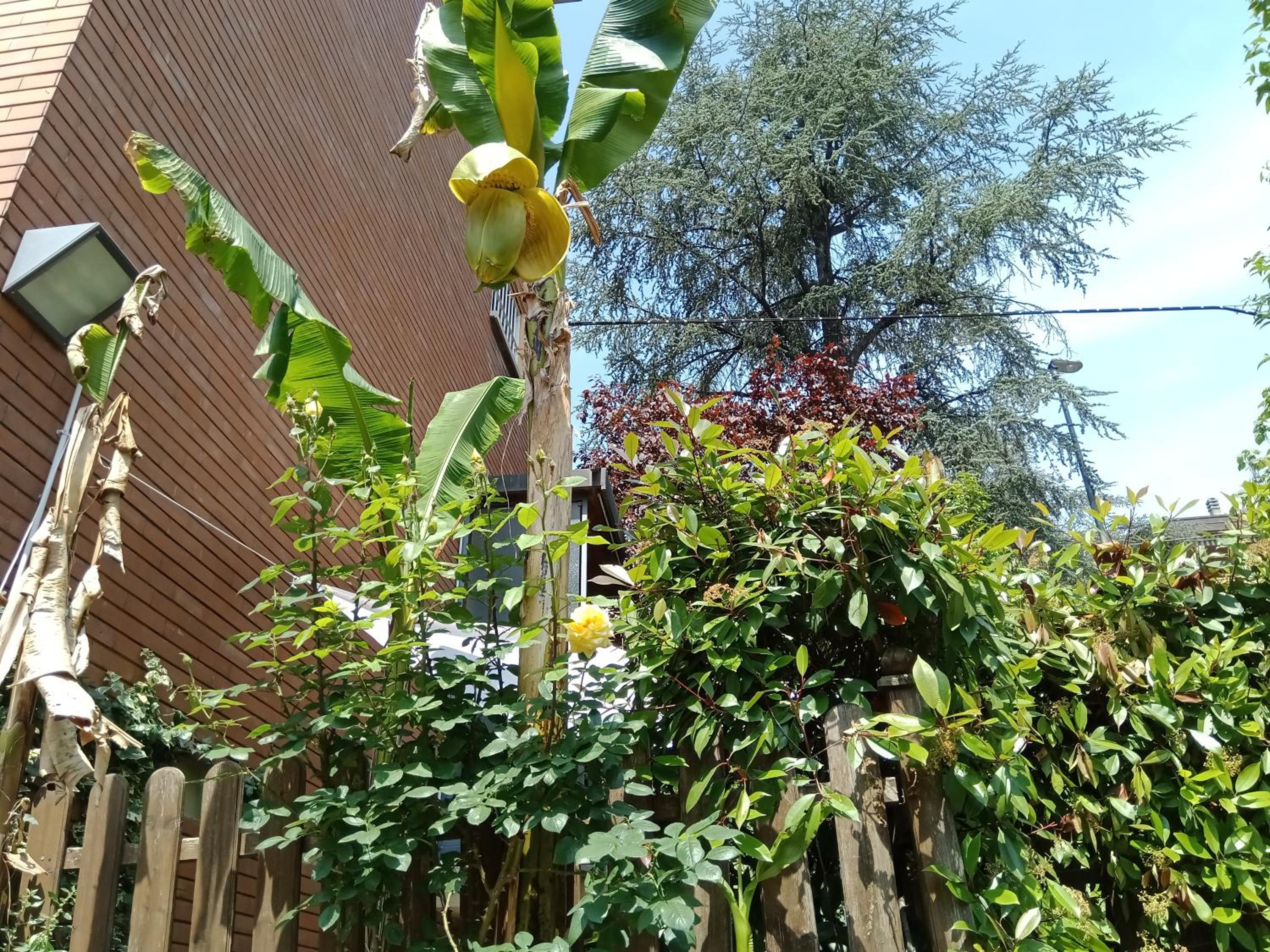 Photo 26