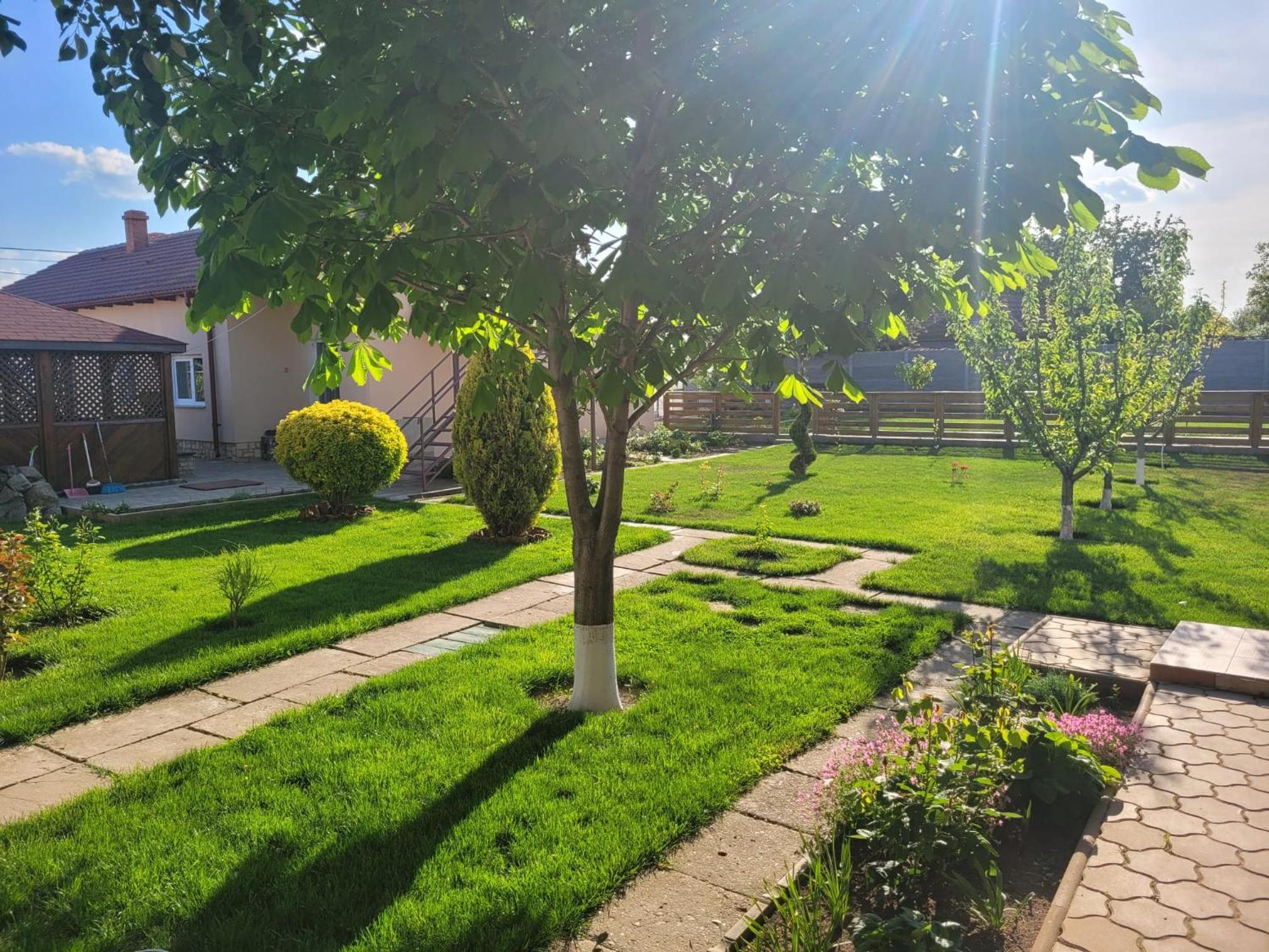 Photo 36