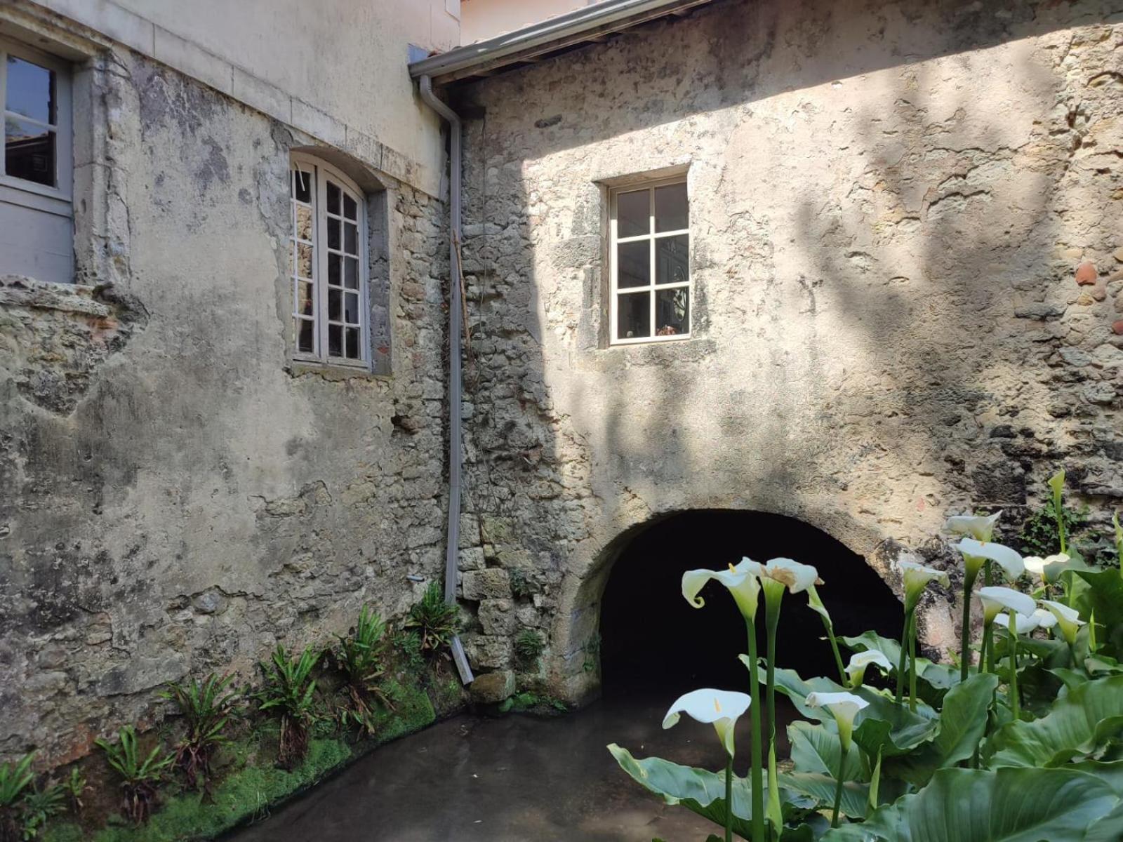 Photo 48