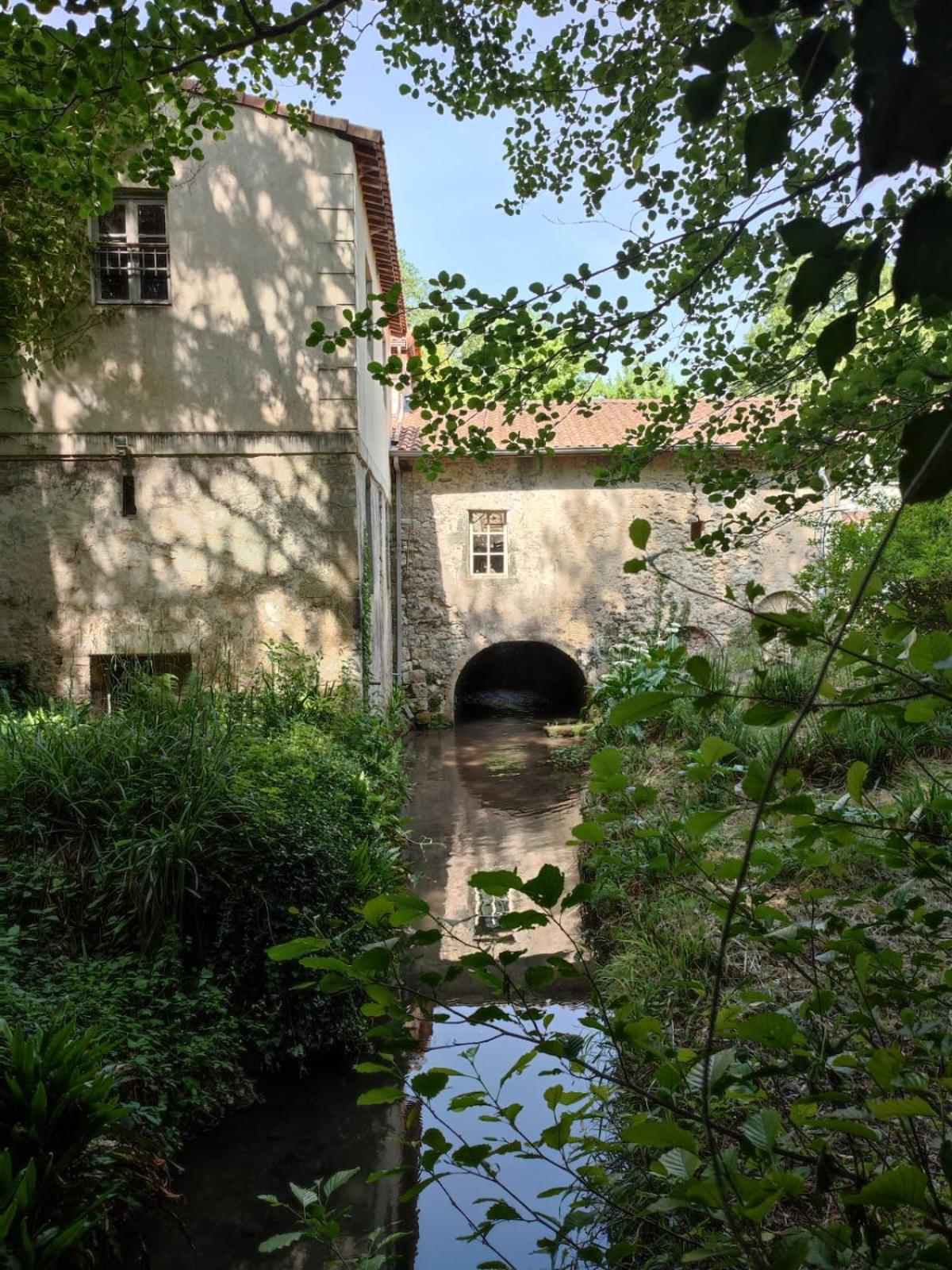 Photo 49