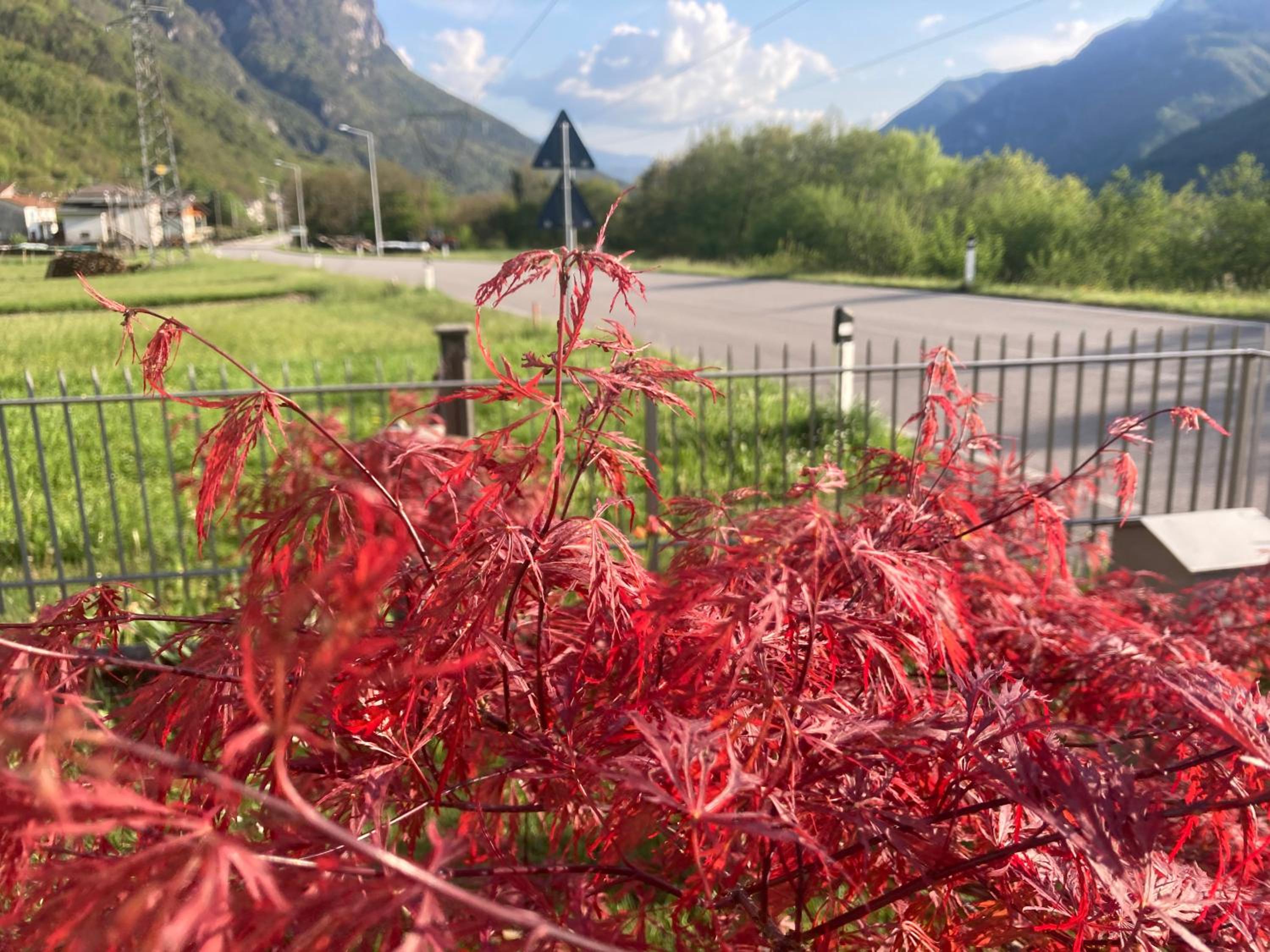 Meraki Dolomiti