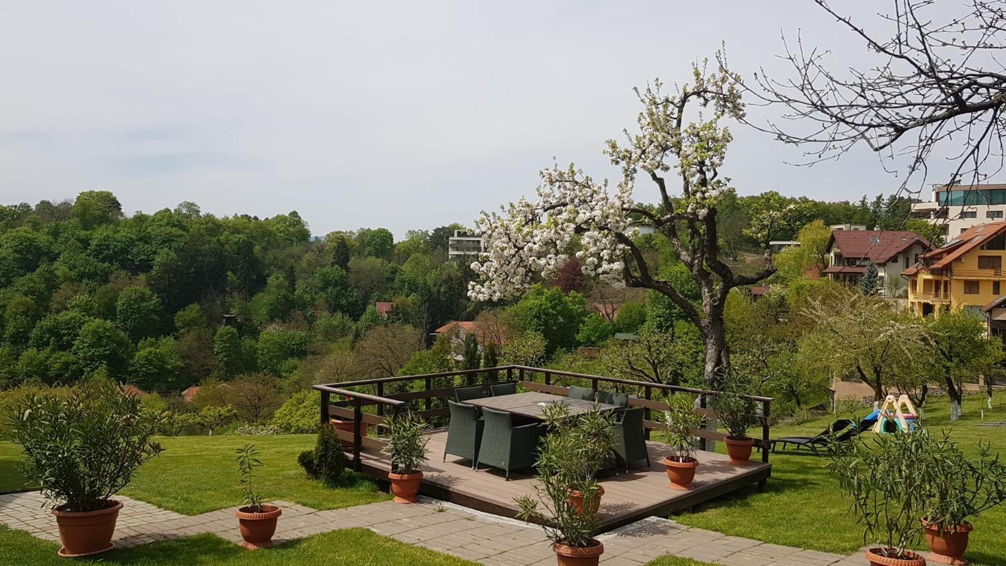 Pensiunea Toscana 11
