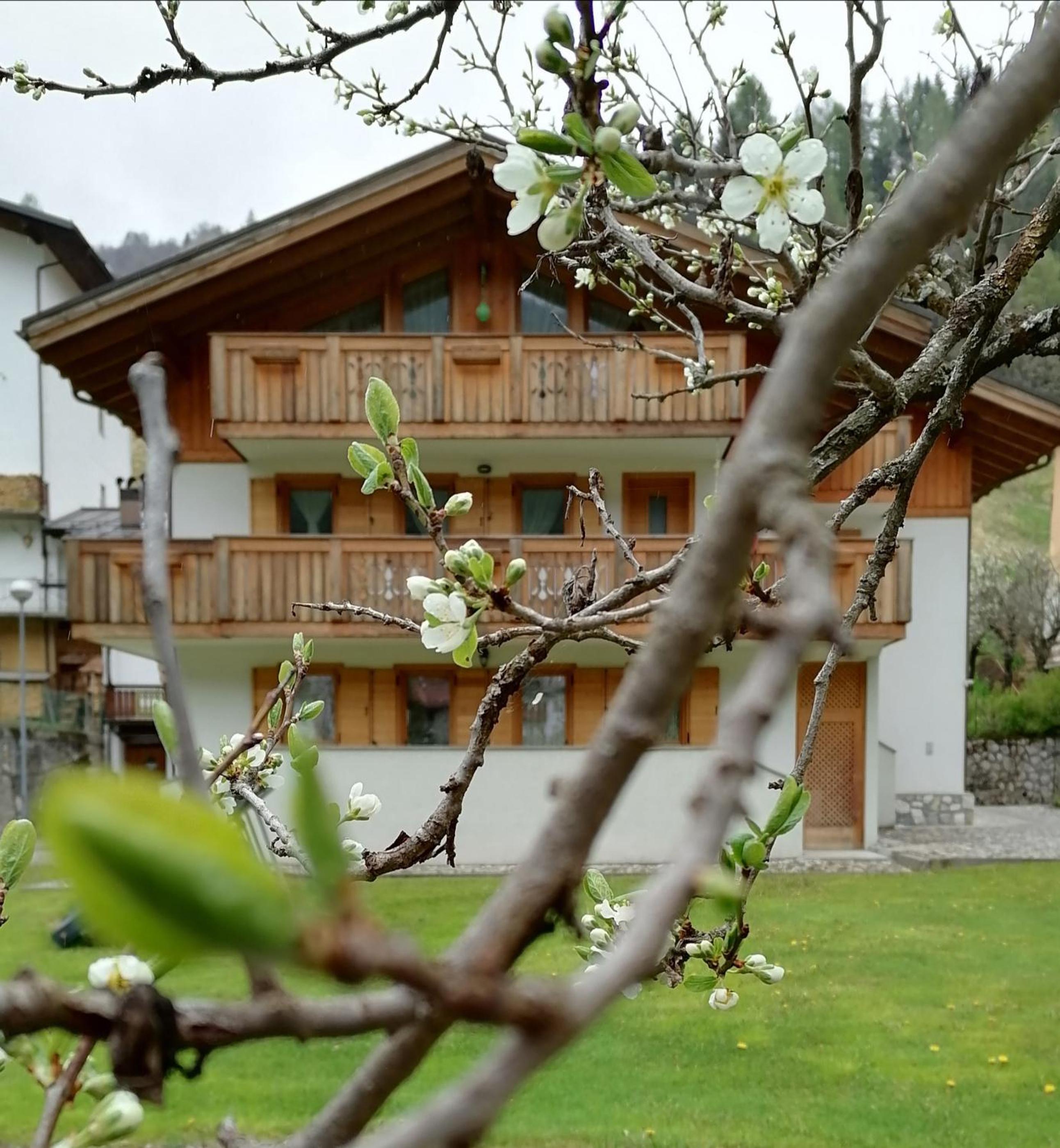 B&B Il Tulipano view 4