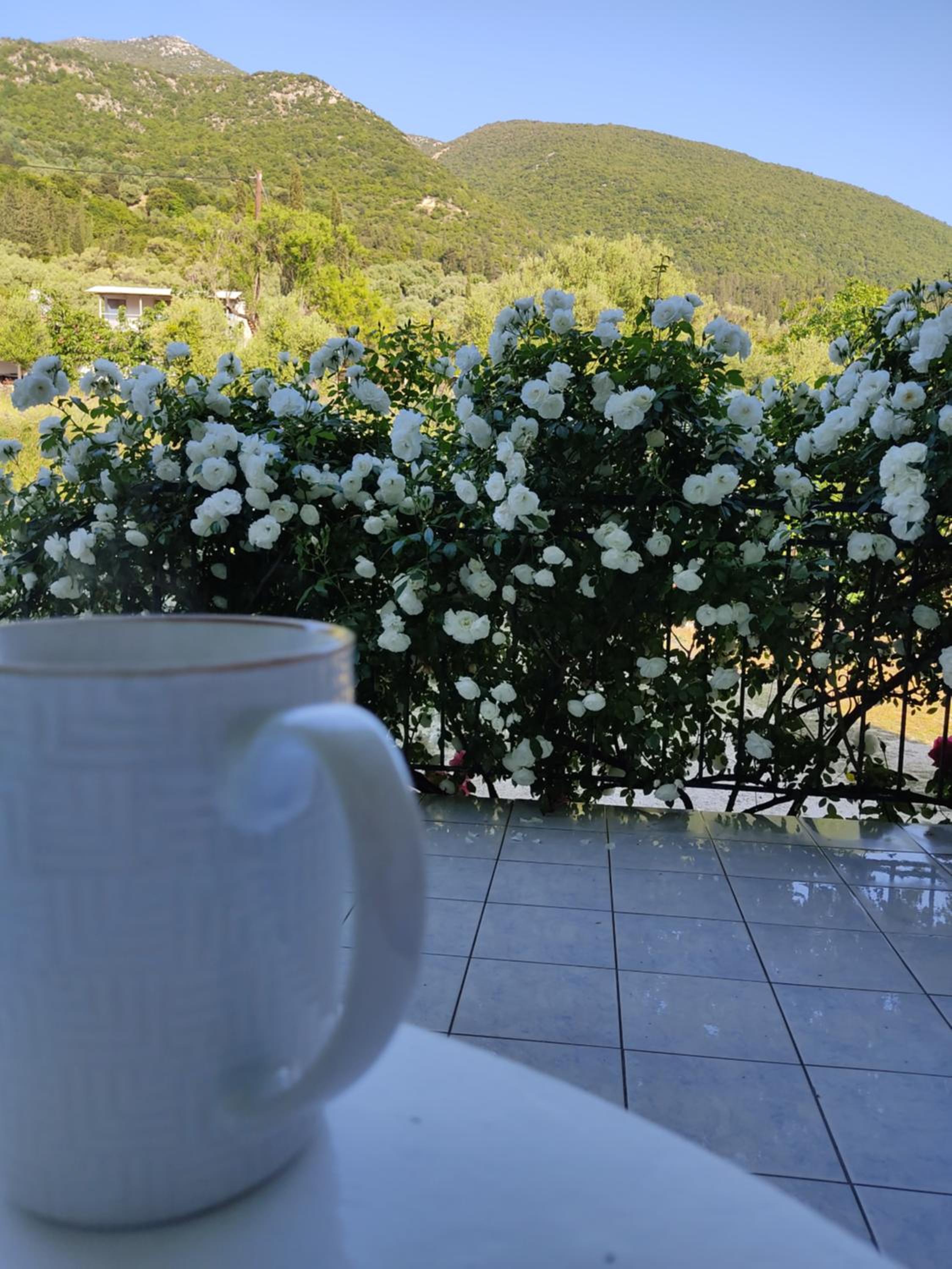 Rosegarden view 5