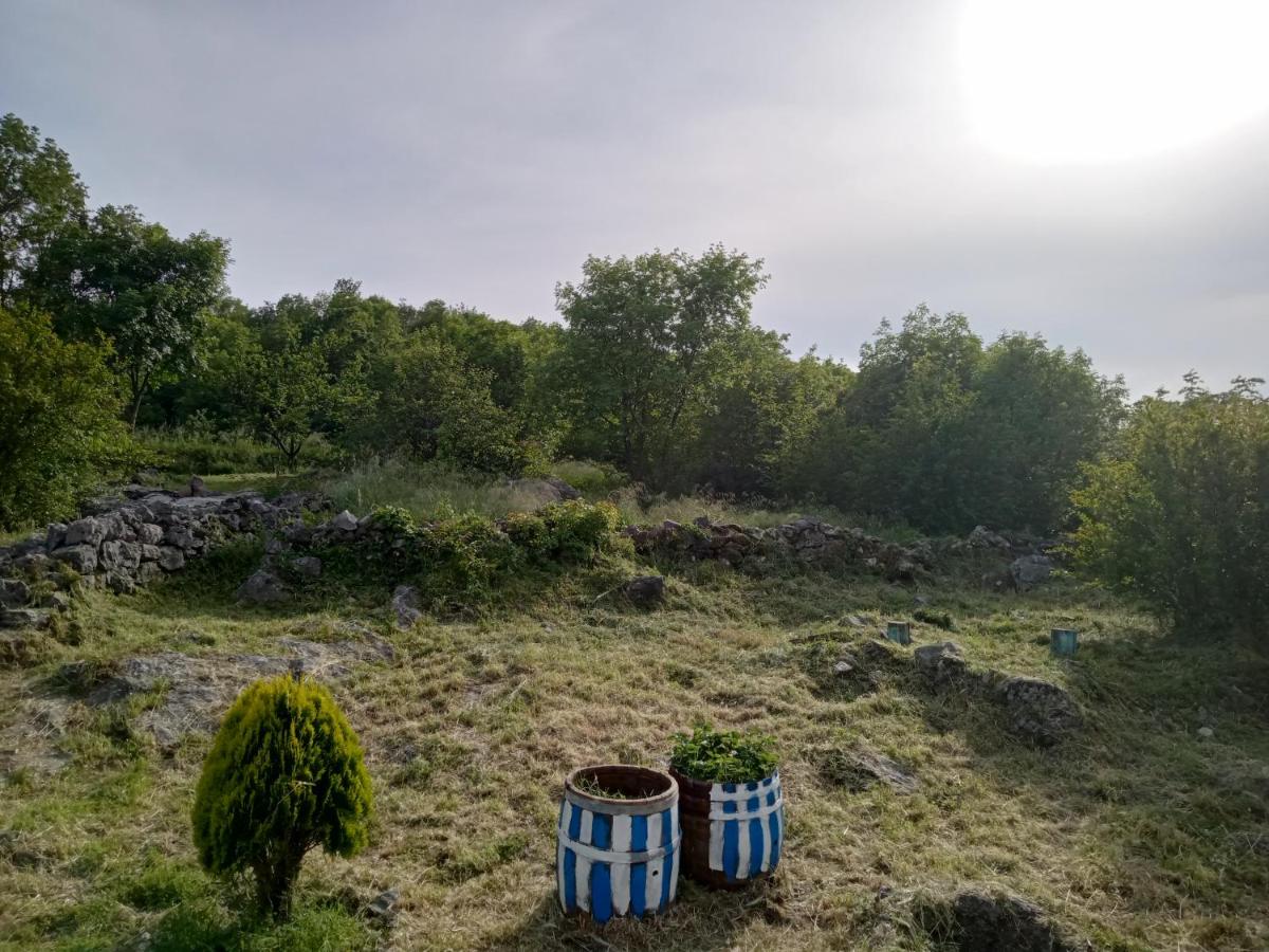 Country stone house Kovacevic photo 3