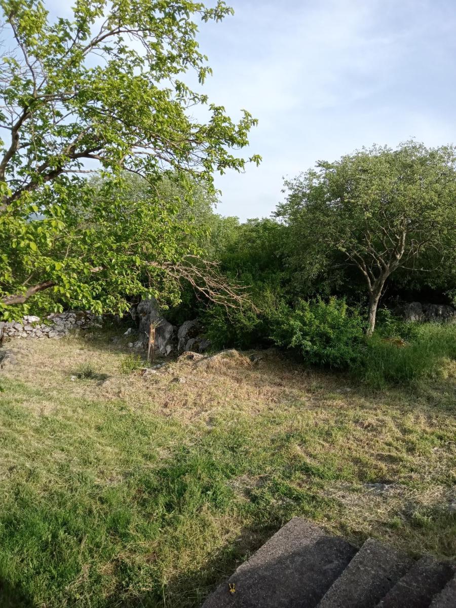 Country stone house Kovacevic photo 2