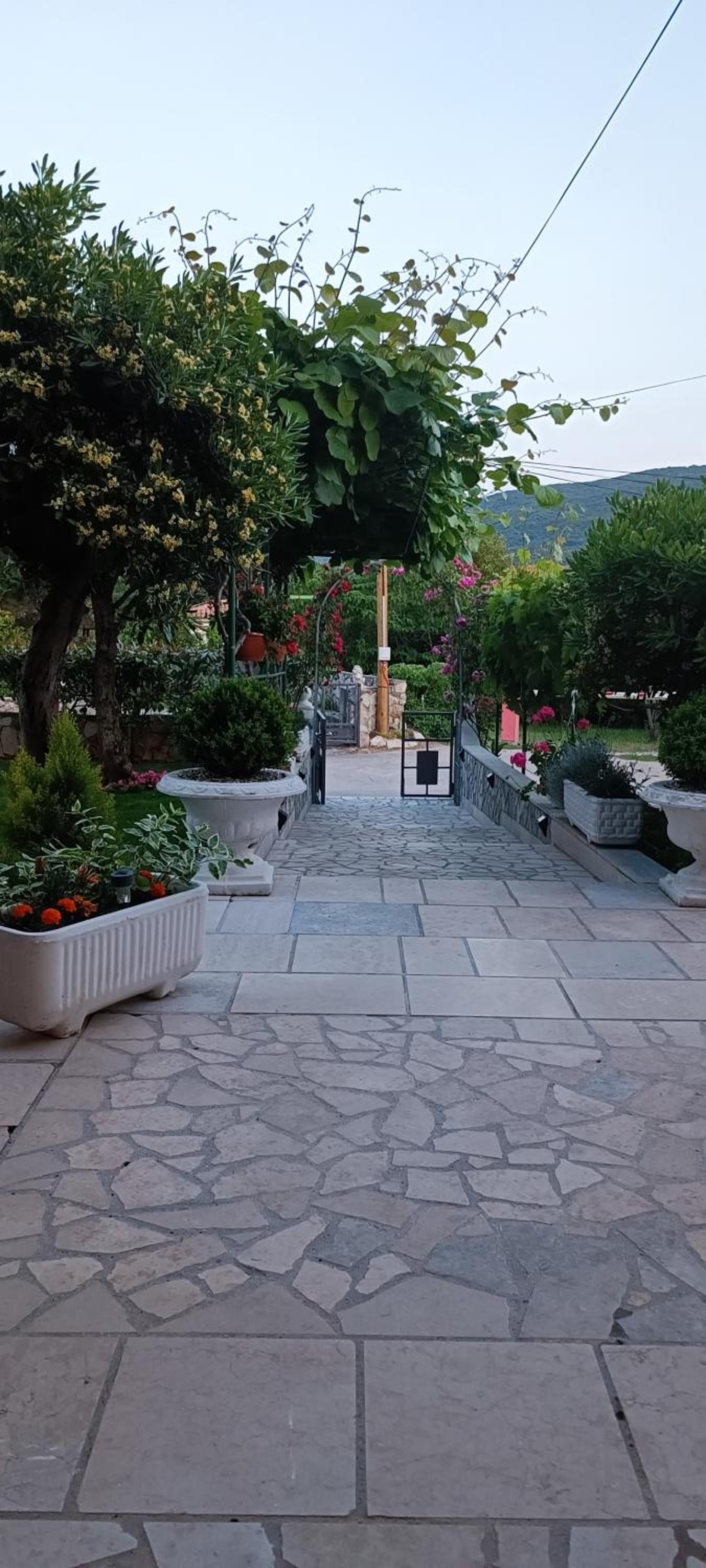 Photo 34