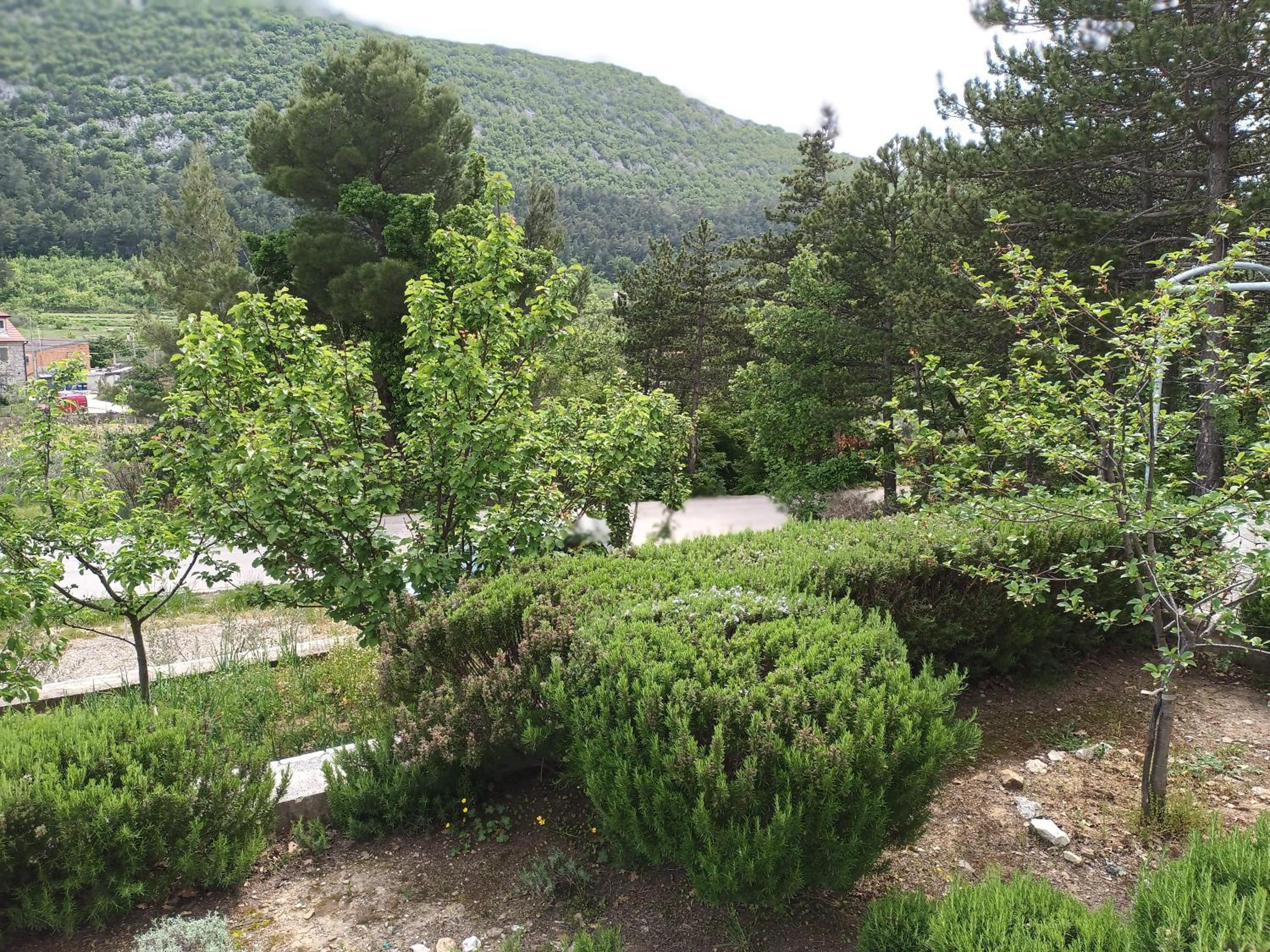 Photo 38