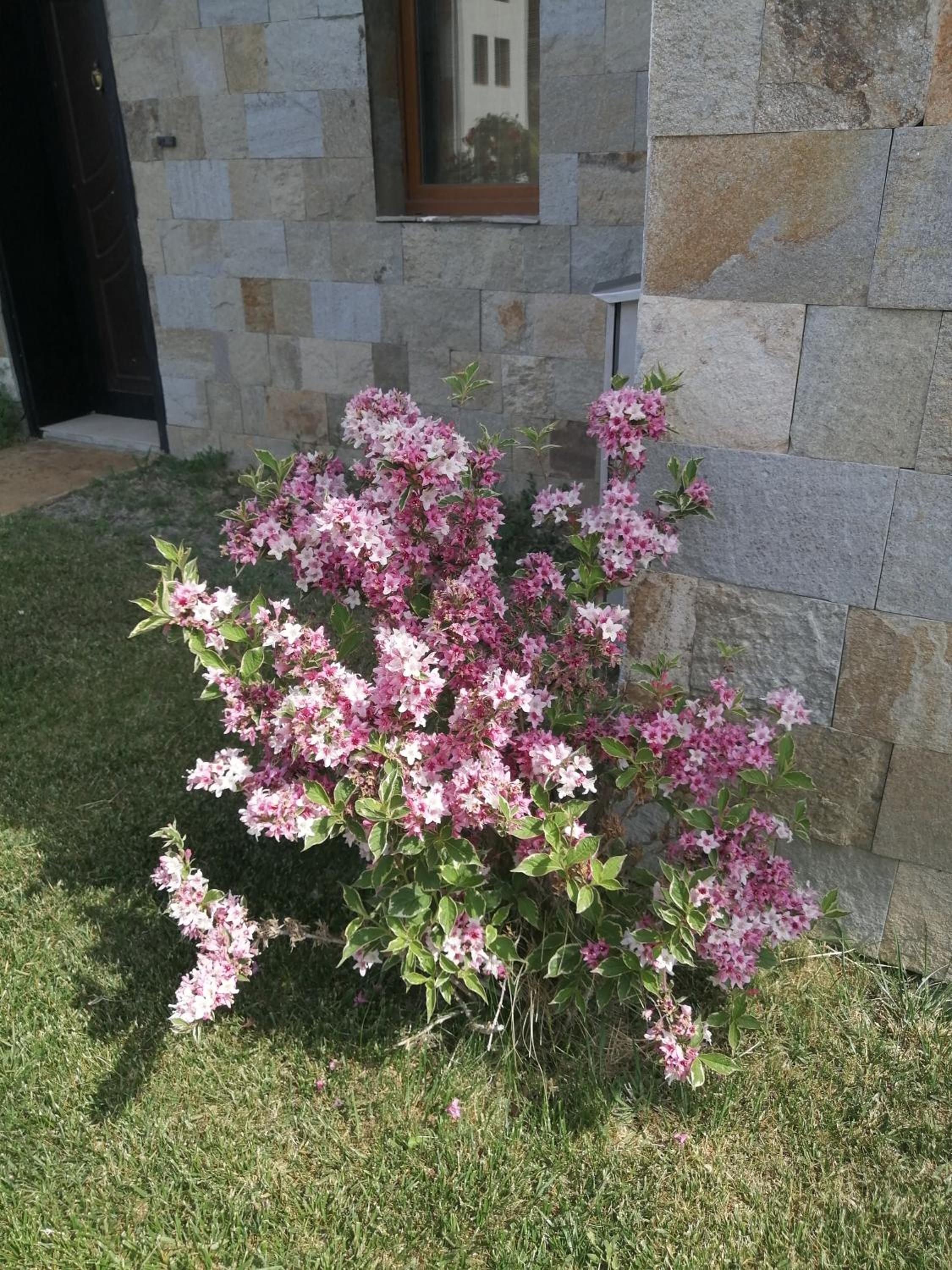 Photo 27