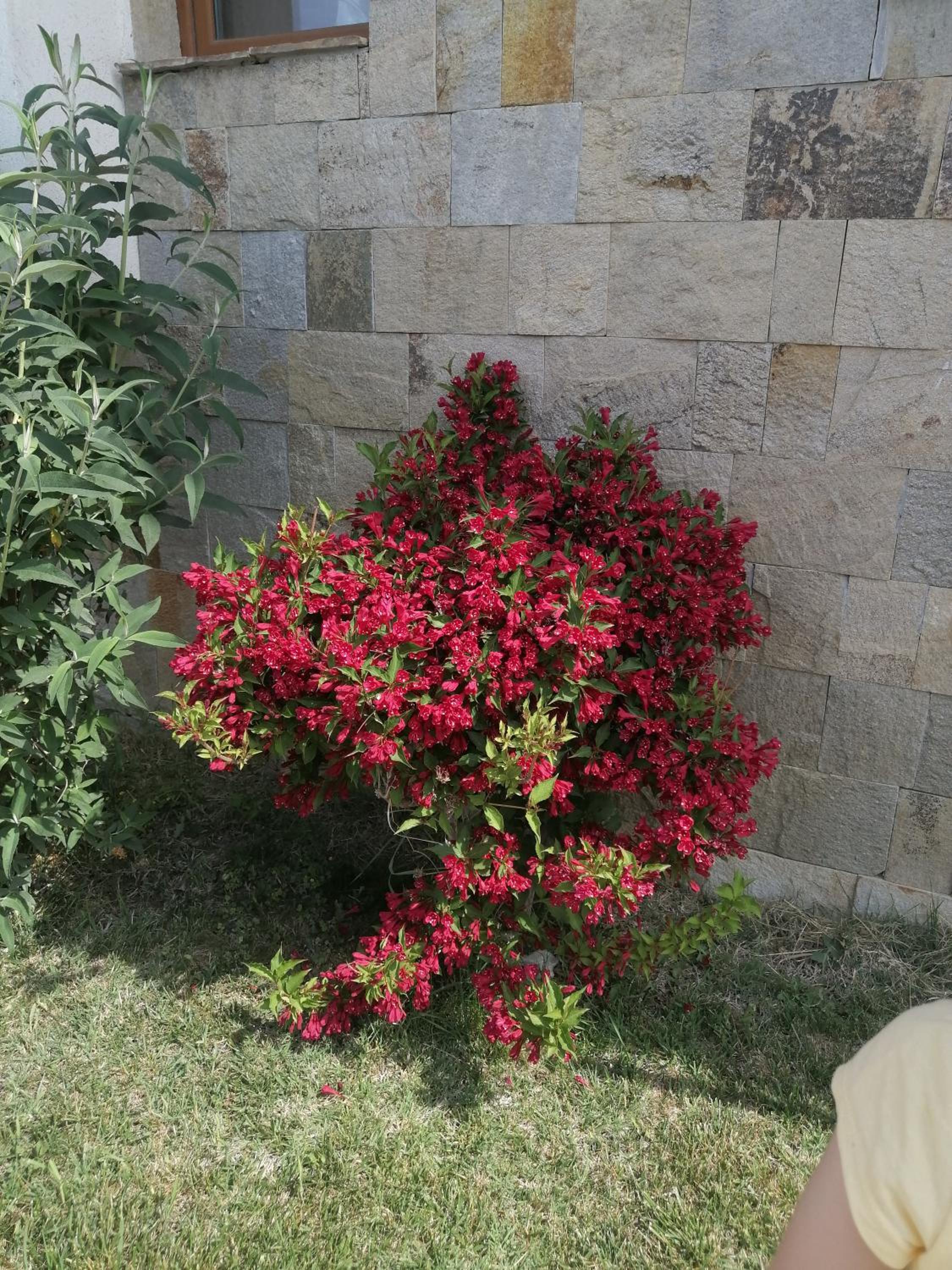 Photo 29