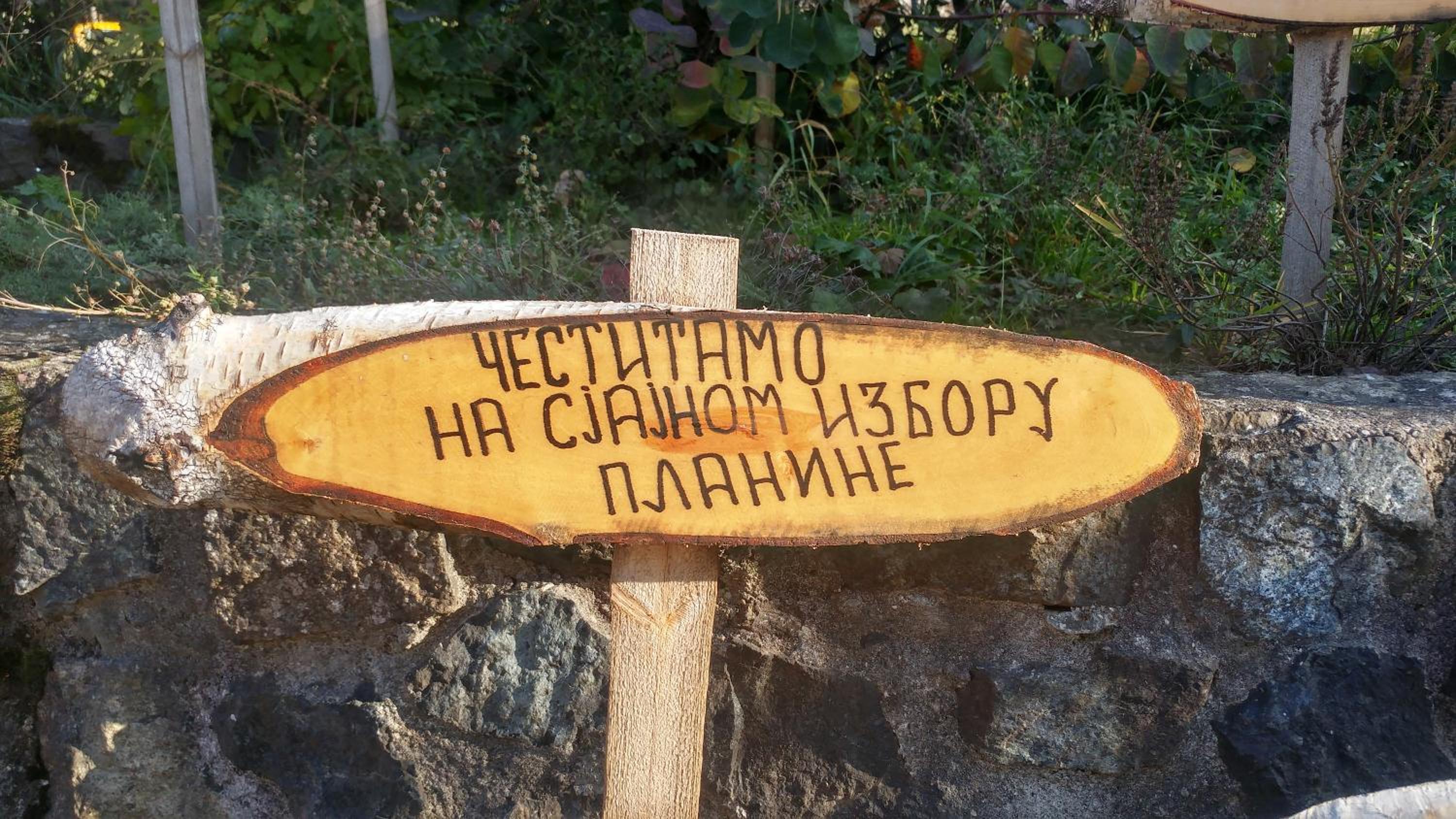 Photo 35
