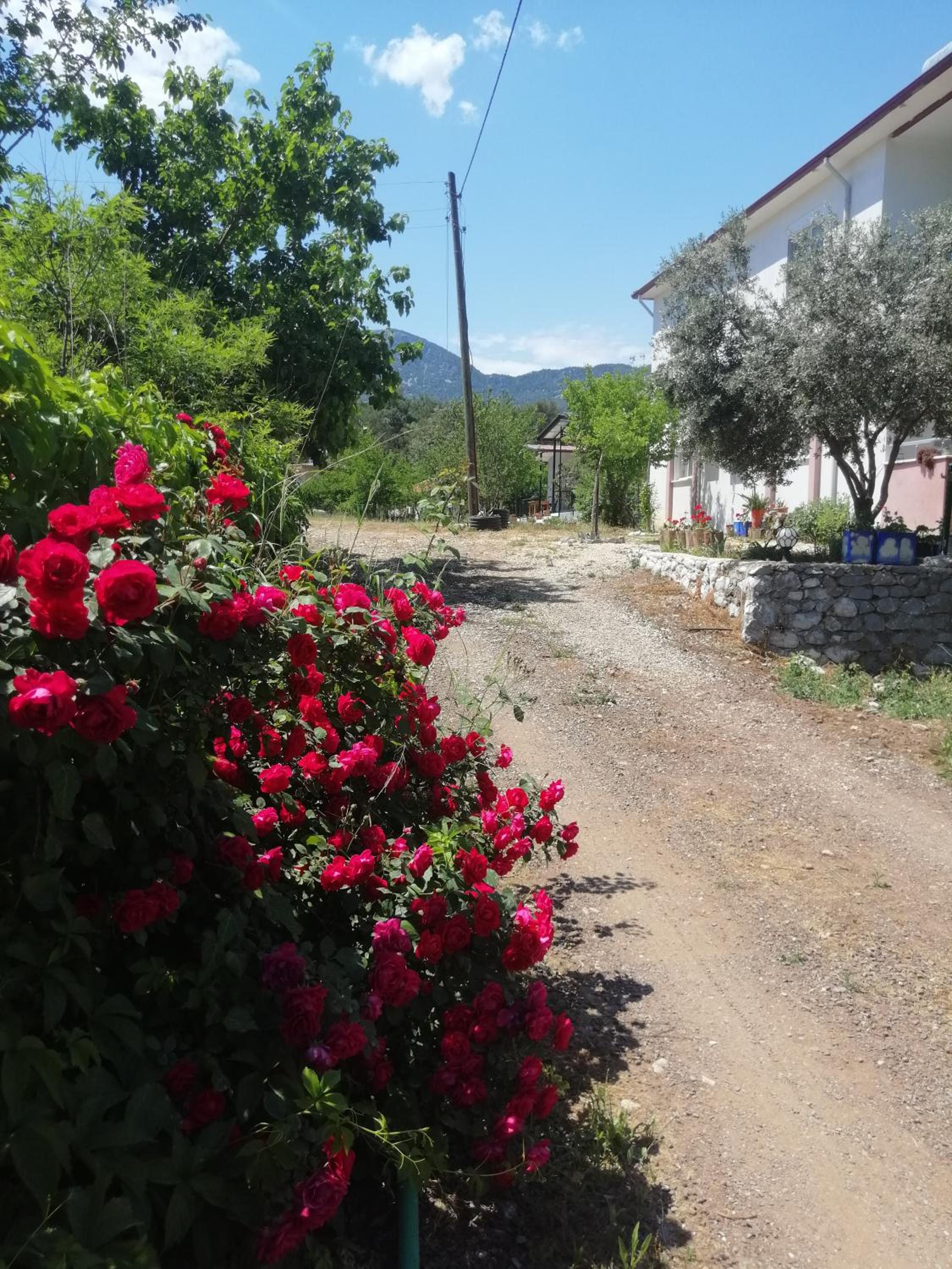 Olympos Apart view 4